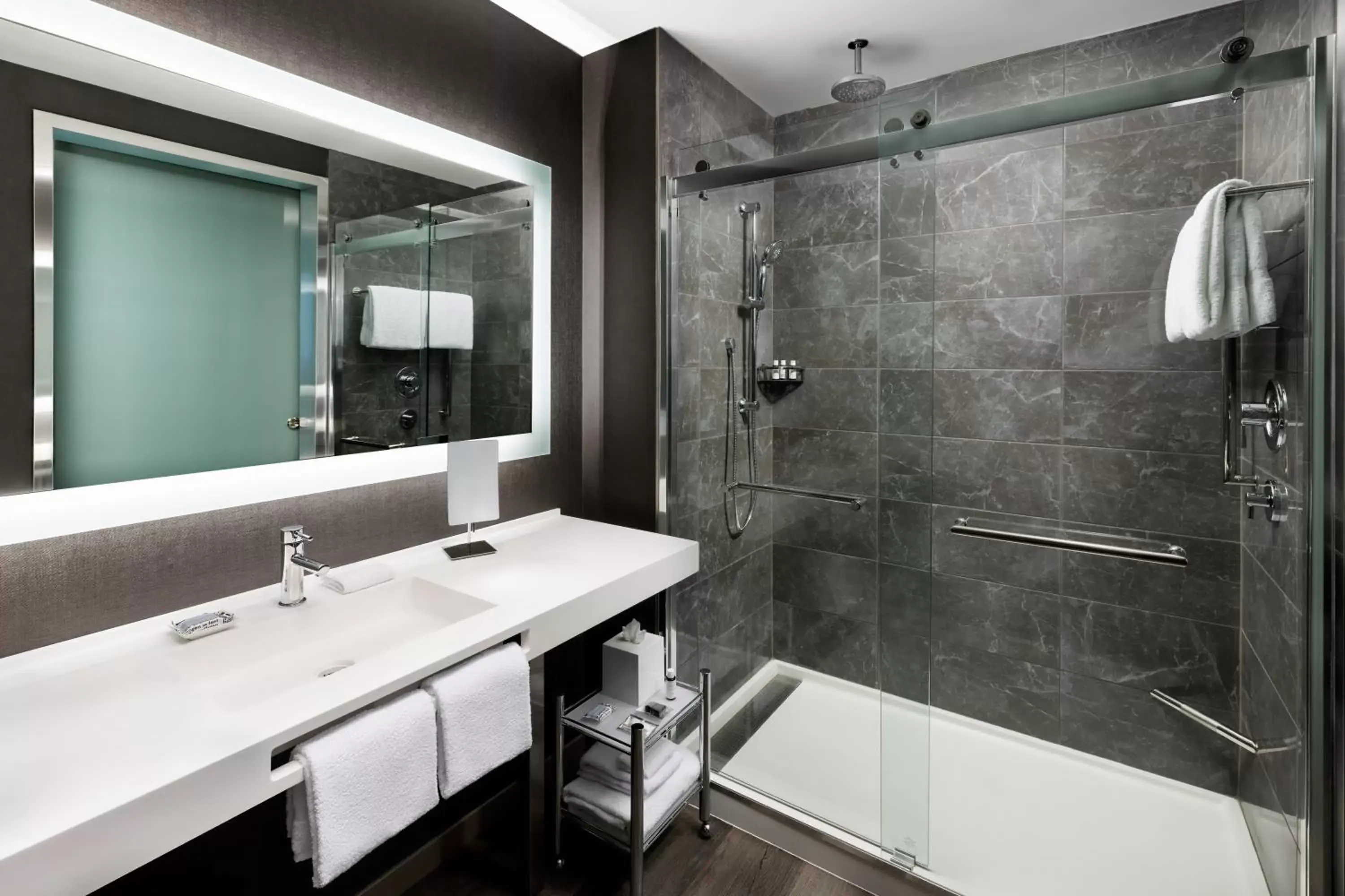 Shower, Bathroom in AC Hotel by Marriott Bethesda Downtown