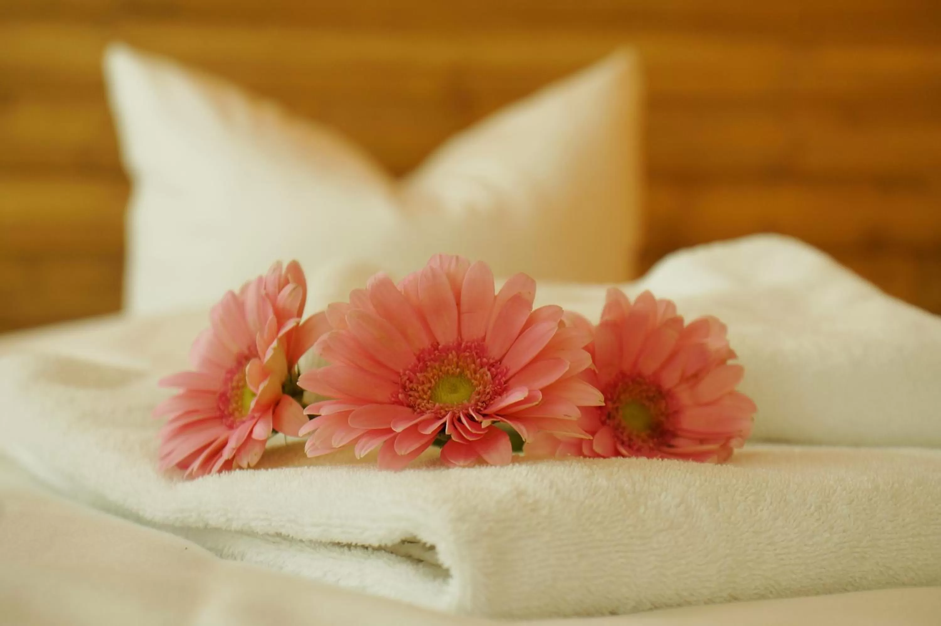 Bed in Hotel Am Obermarkt