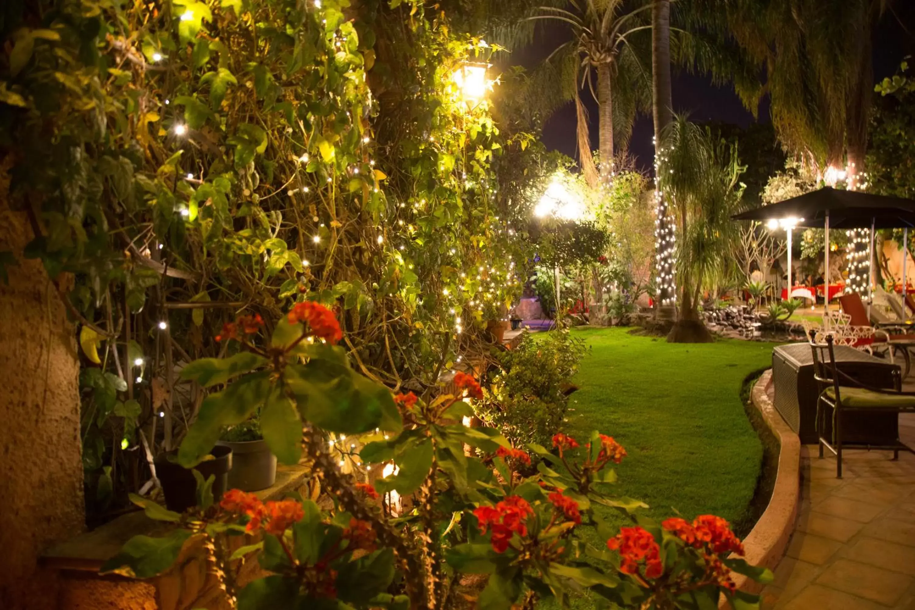 Patio, Garden in Quinta Don Jose Boutique Hotel