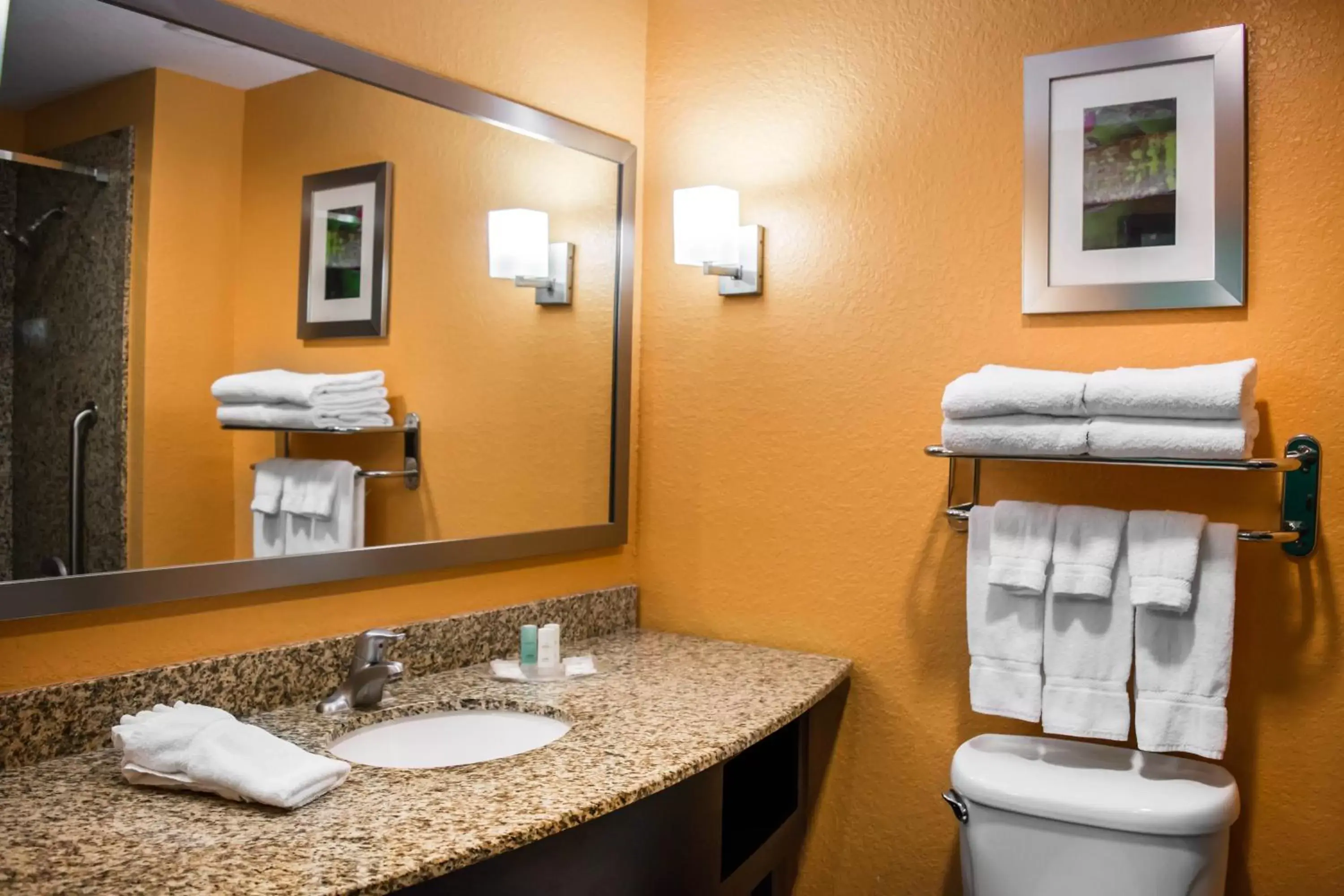 King Suite - Accessible/Non-Smoking in Comfort Suites Tampa Fairgrounds - Casino