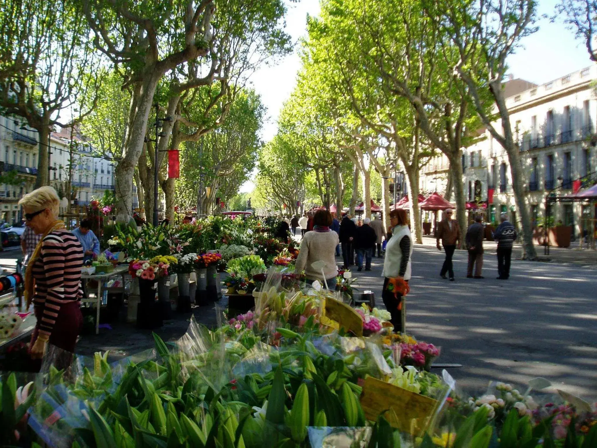 Neighbourhood in The Originals Access, Hotel Beziers Est (P'tit Dej-Hotel)