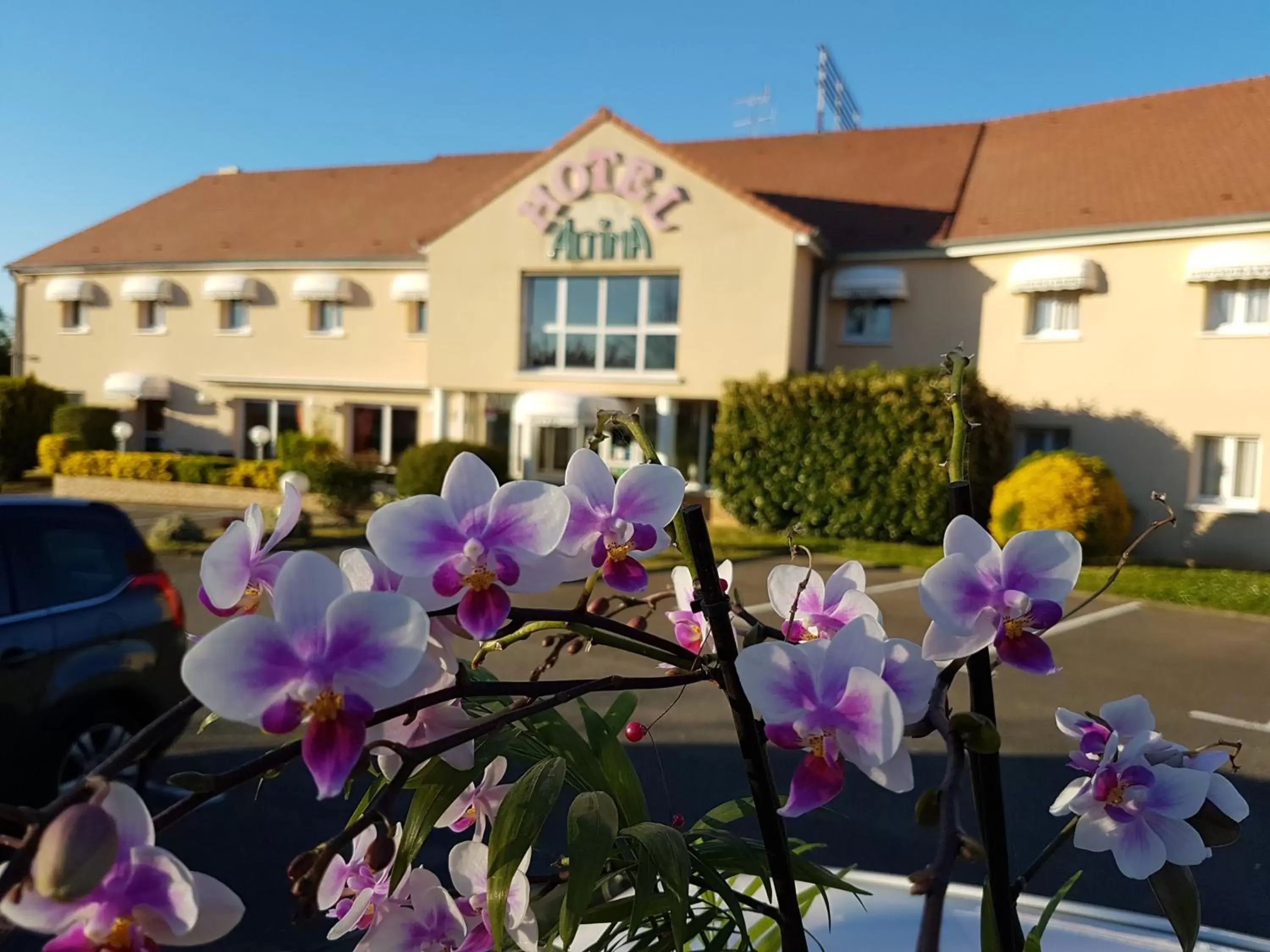 Spring, Property Building in Hotel Altina