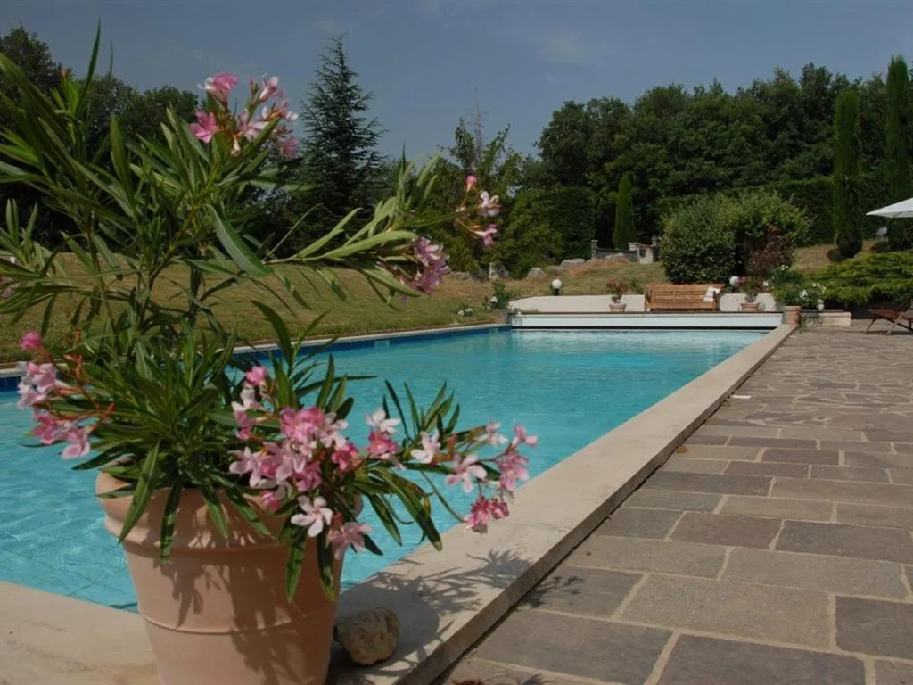 Pool view in La Devinière