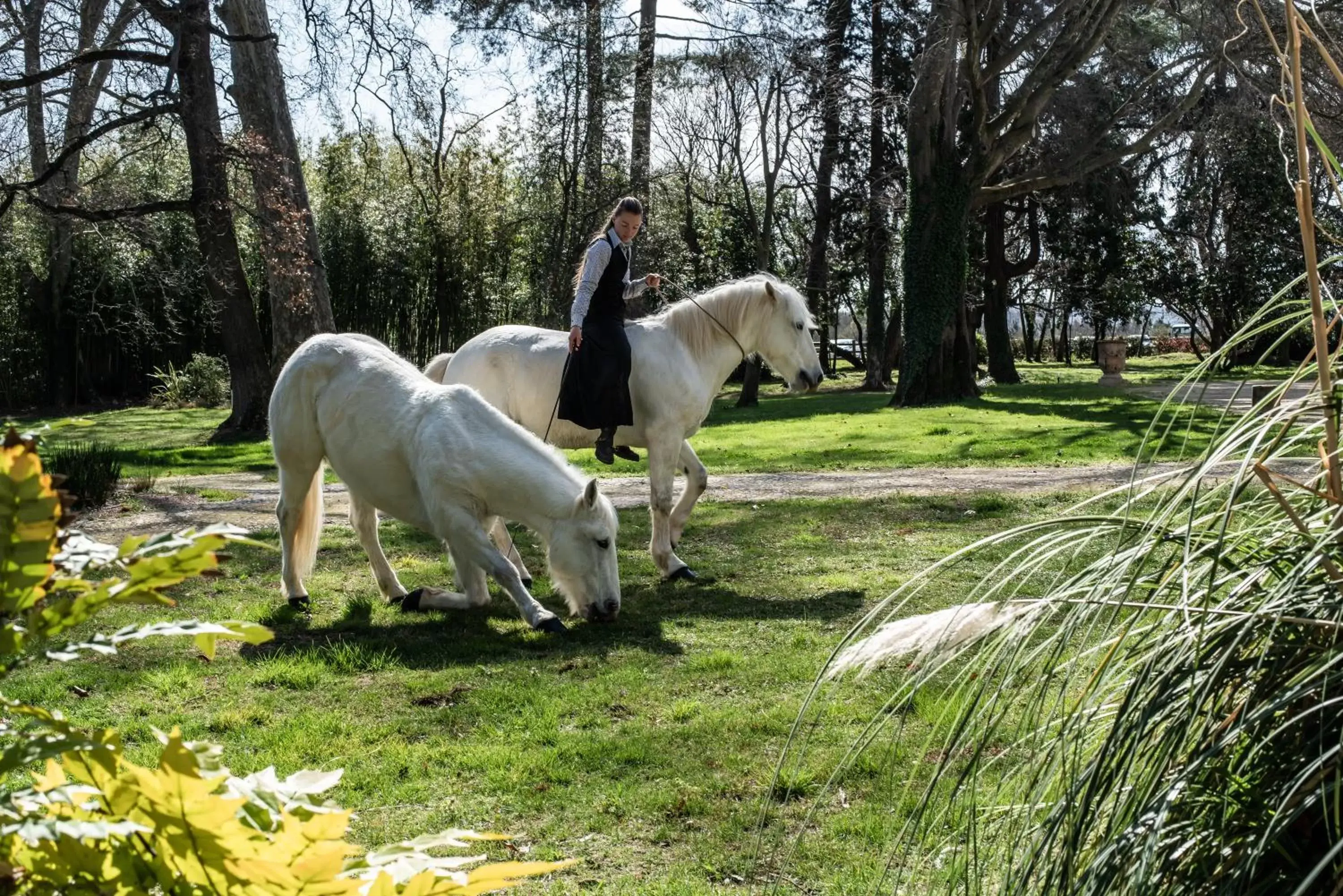 Garden, Other Animals in Domaine de Biar