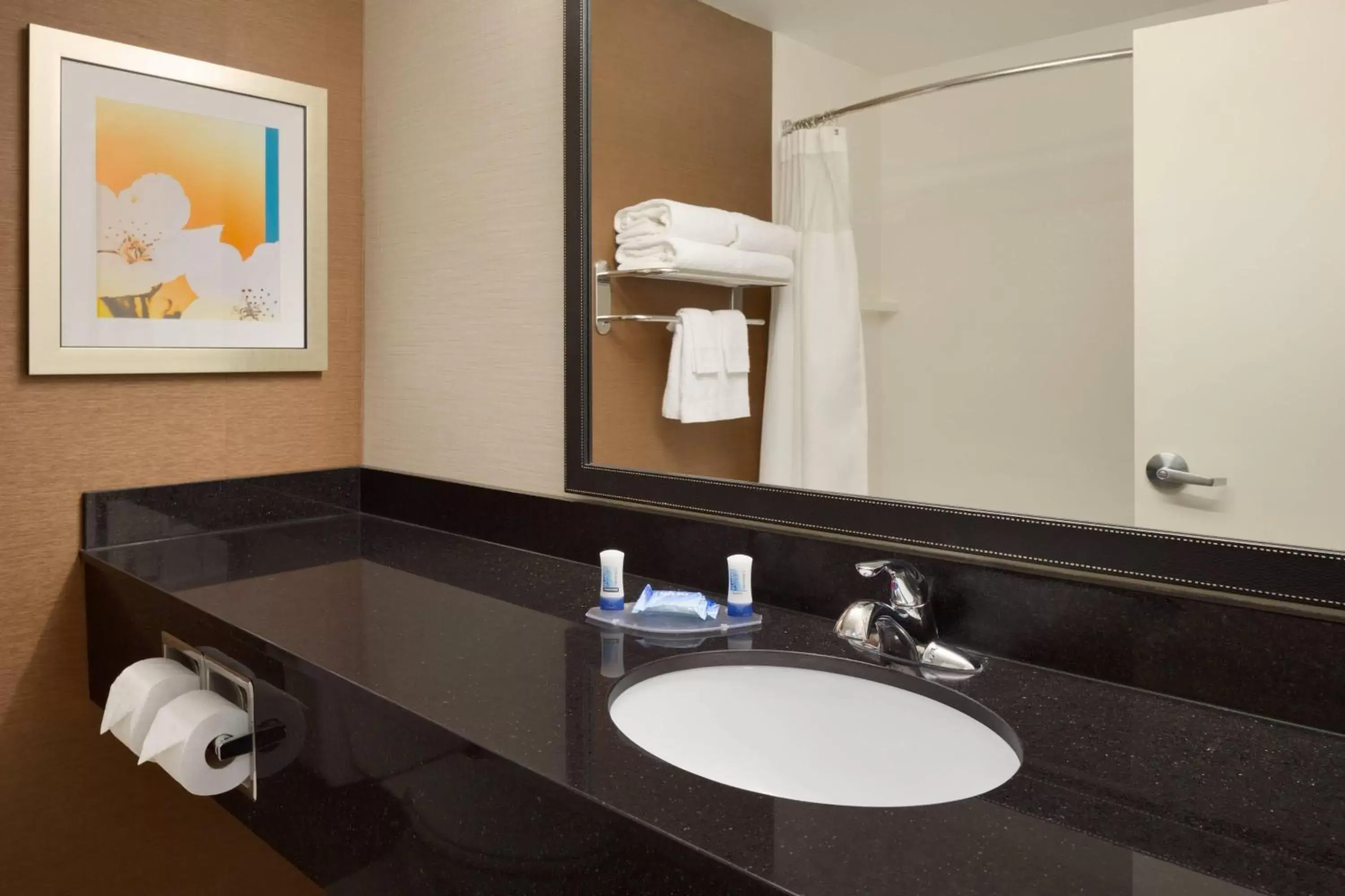 Bathroom in Fairfield Inn & Suites Youngstown Boardman Poland