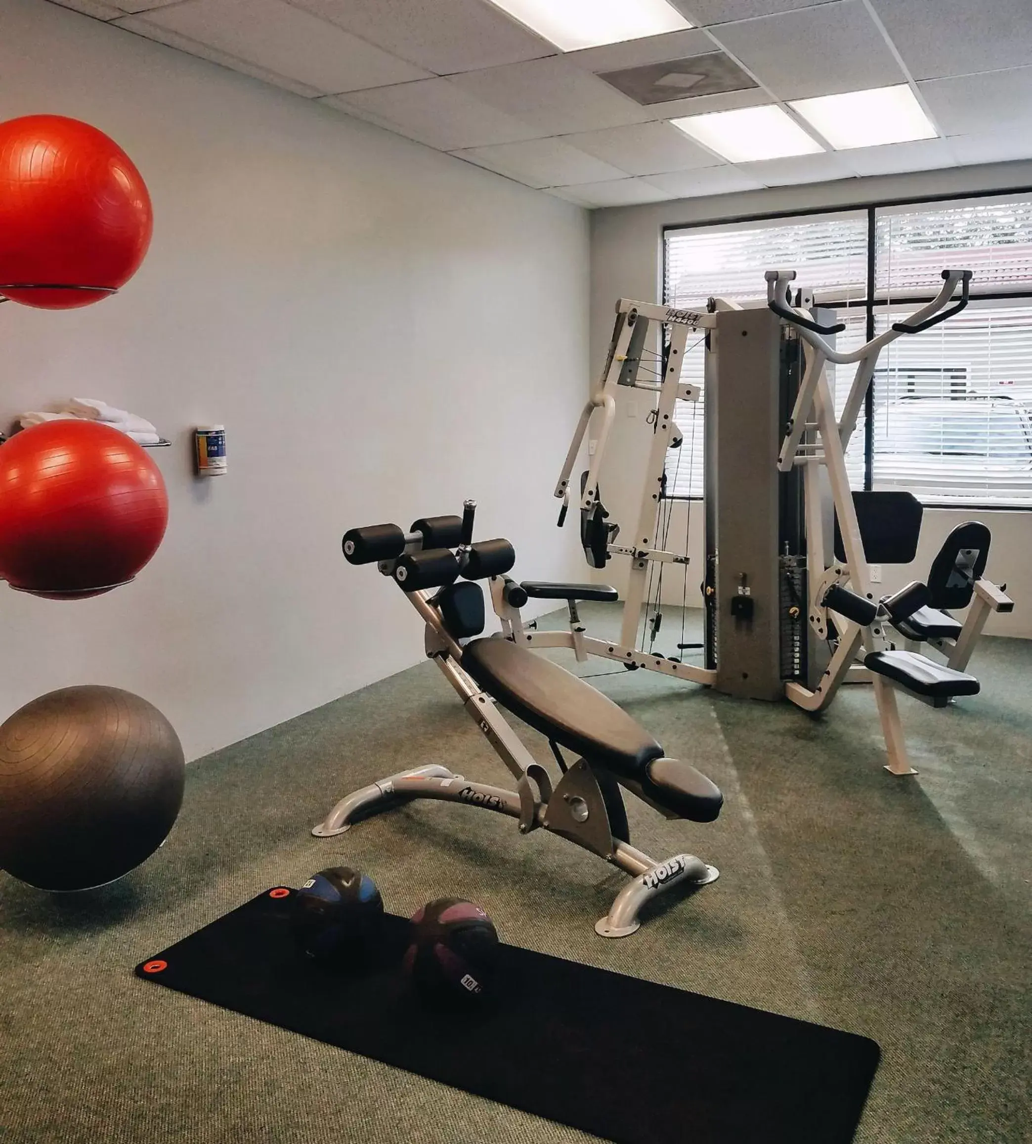 Fitness centre/facilities, Fitness Center/Facilities in Parc Corniche Condominium Suites