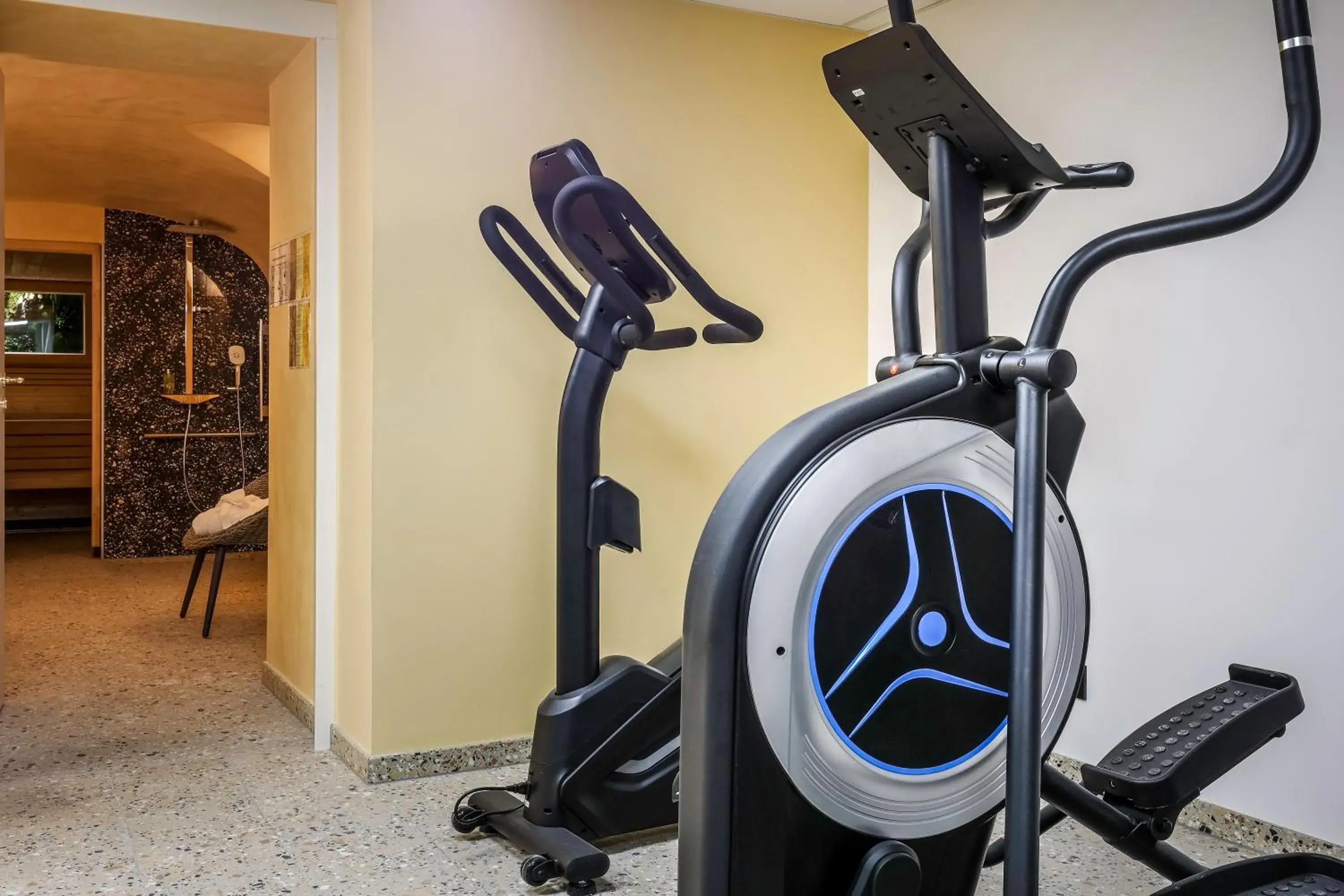 Fitness centre/facilities, Fitness Center/Facilities in Hotel des Vosges BW Premier Collection