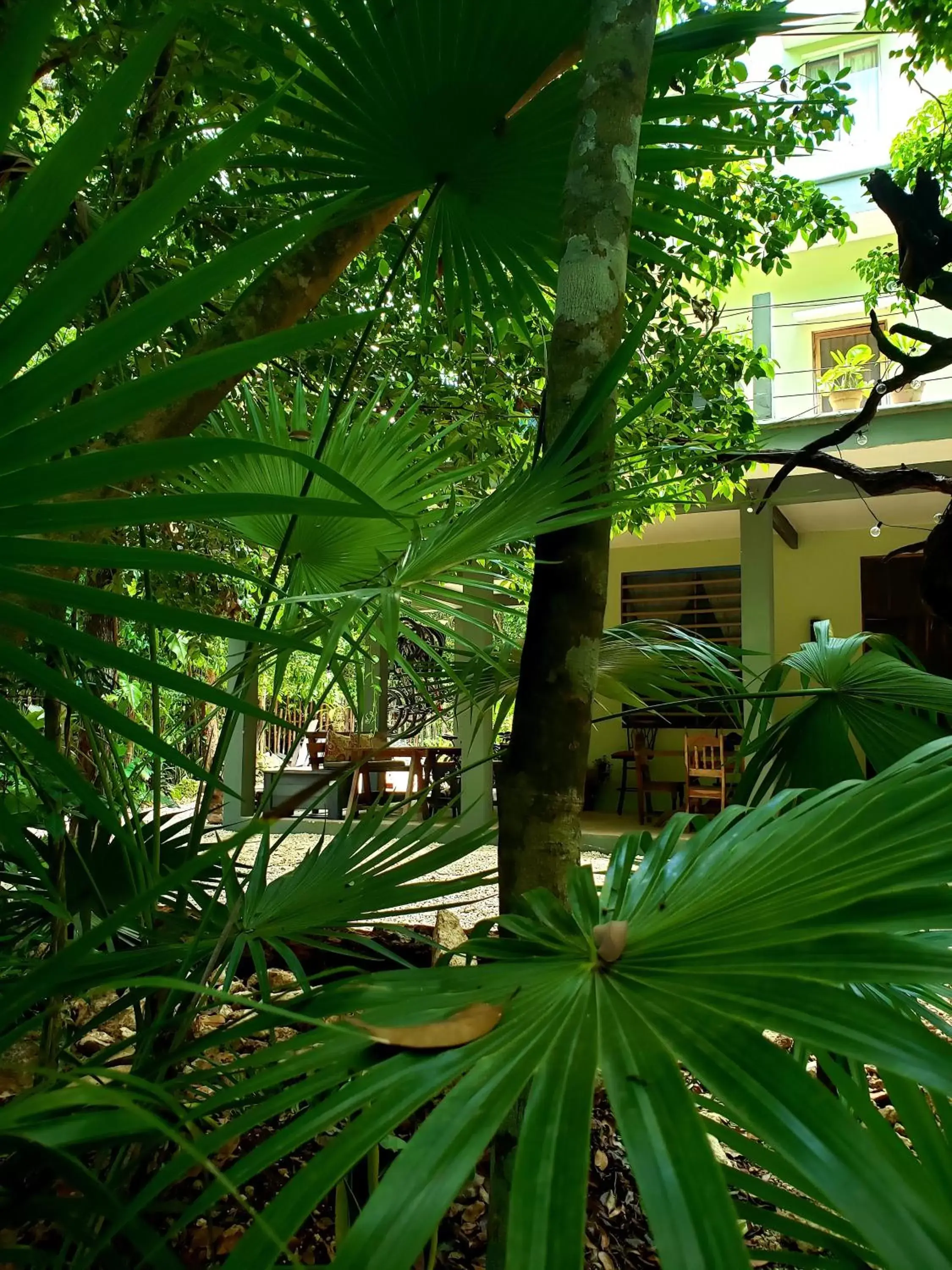 Patio in Casa Boutique Hokhmah