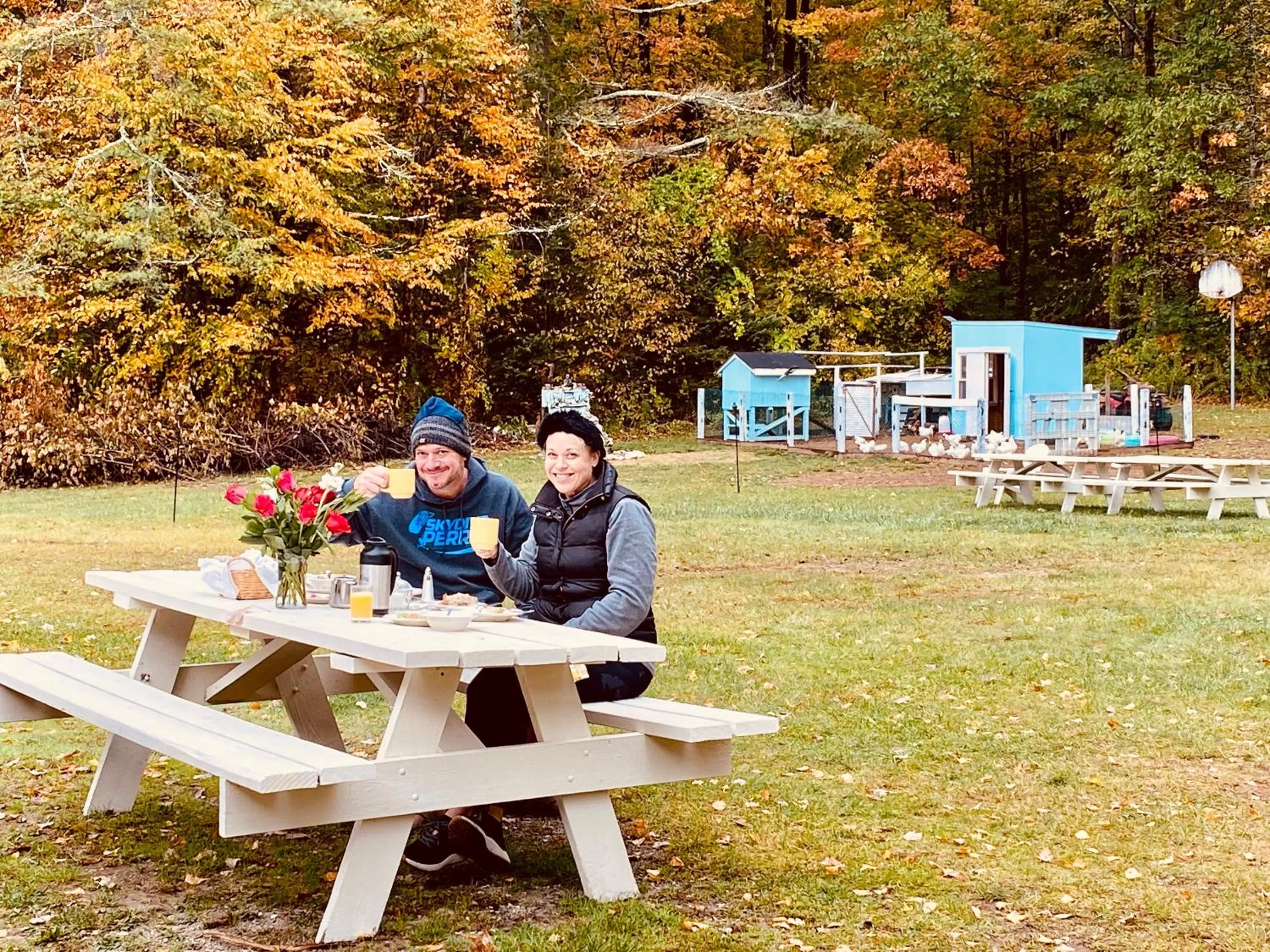 Arcady Mountain Motor Lodge