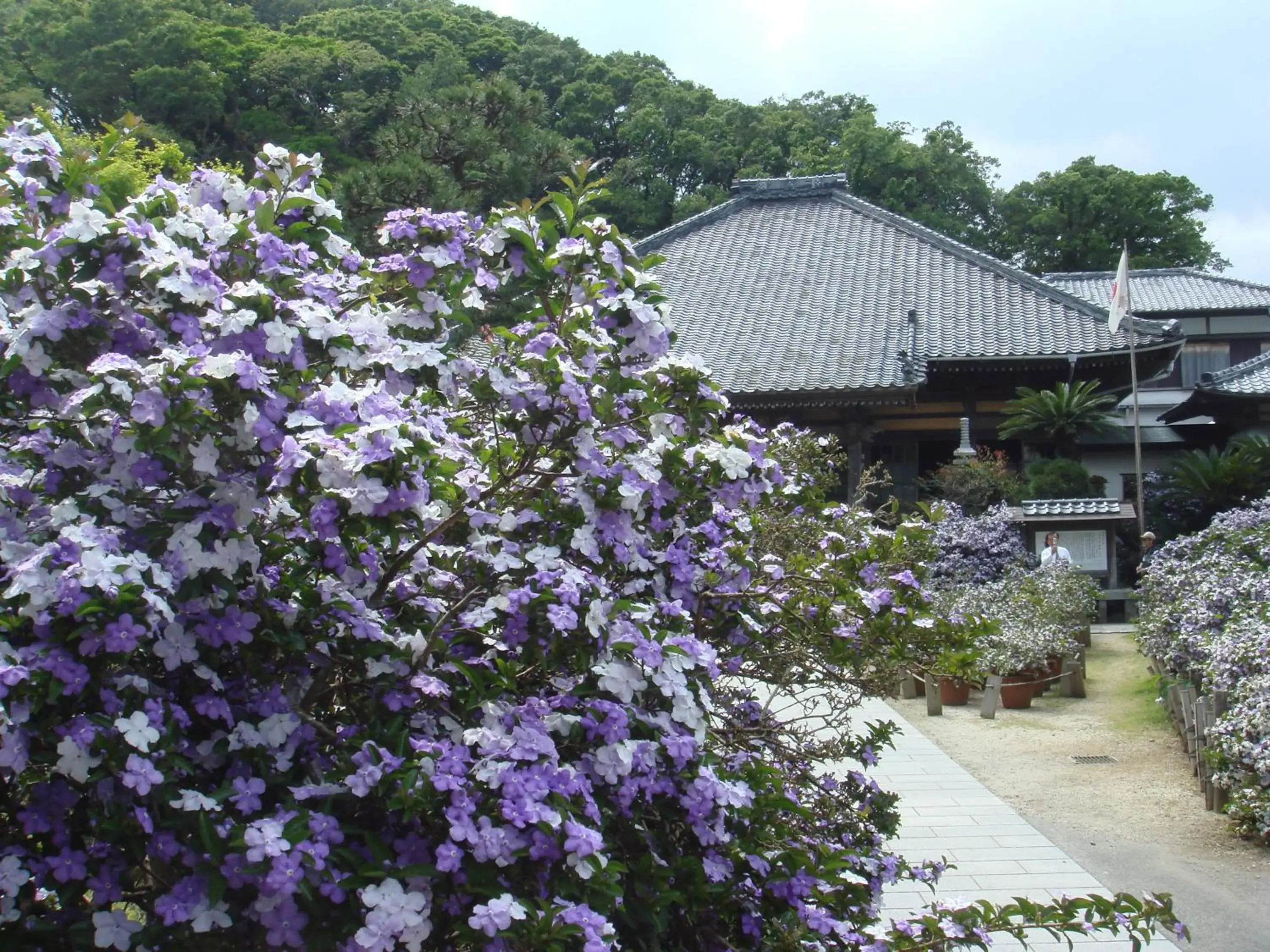 Seasons in Shimoda Prince Hotel