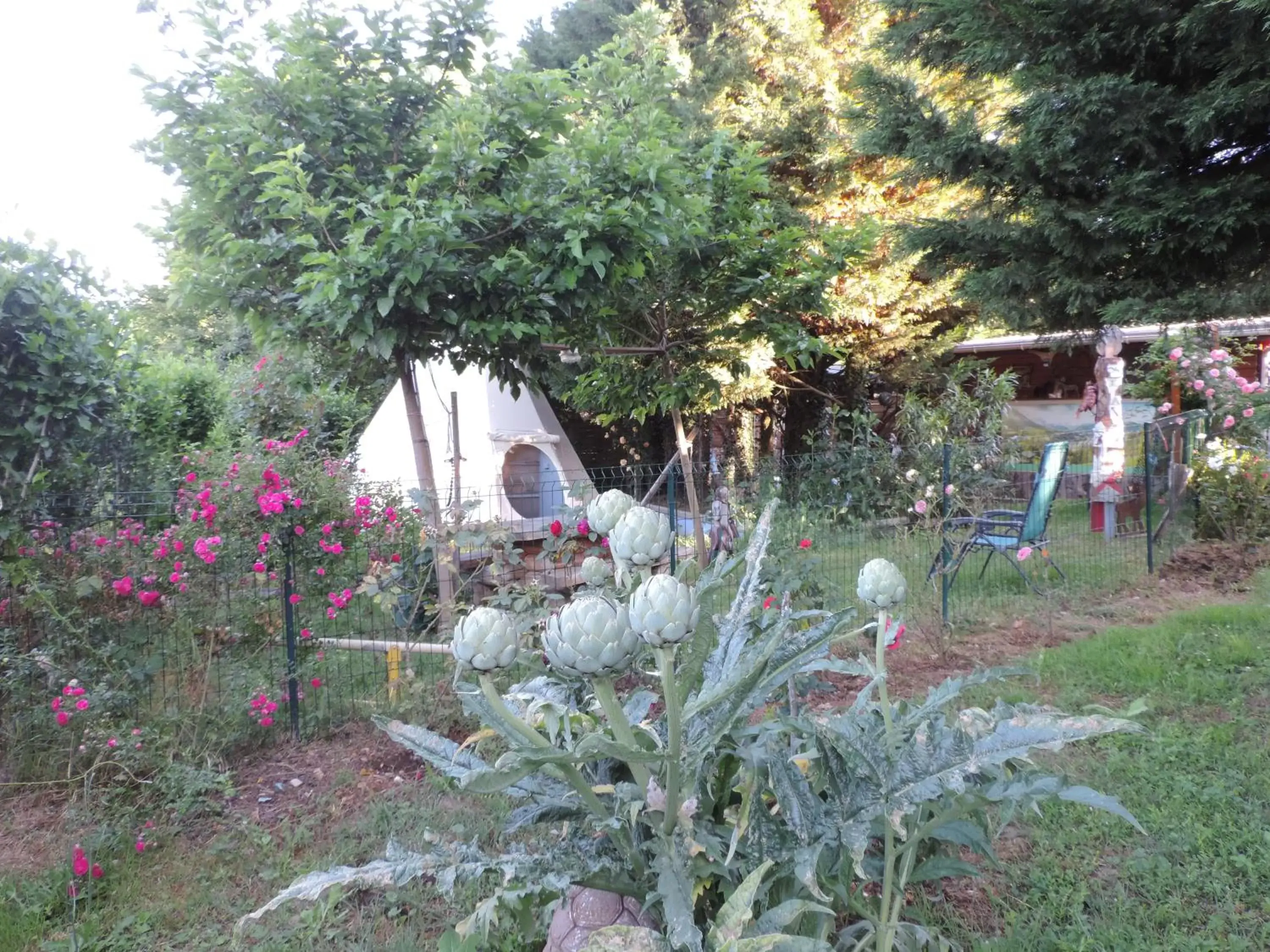 Garden in Chez Papy et Mamy