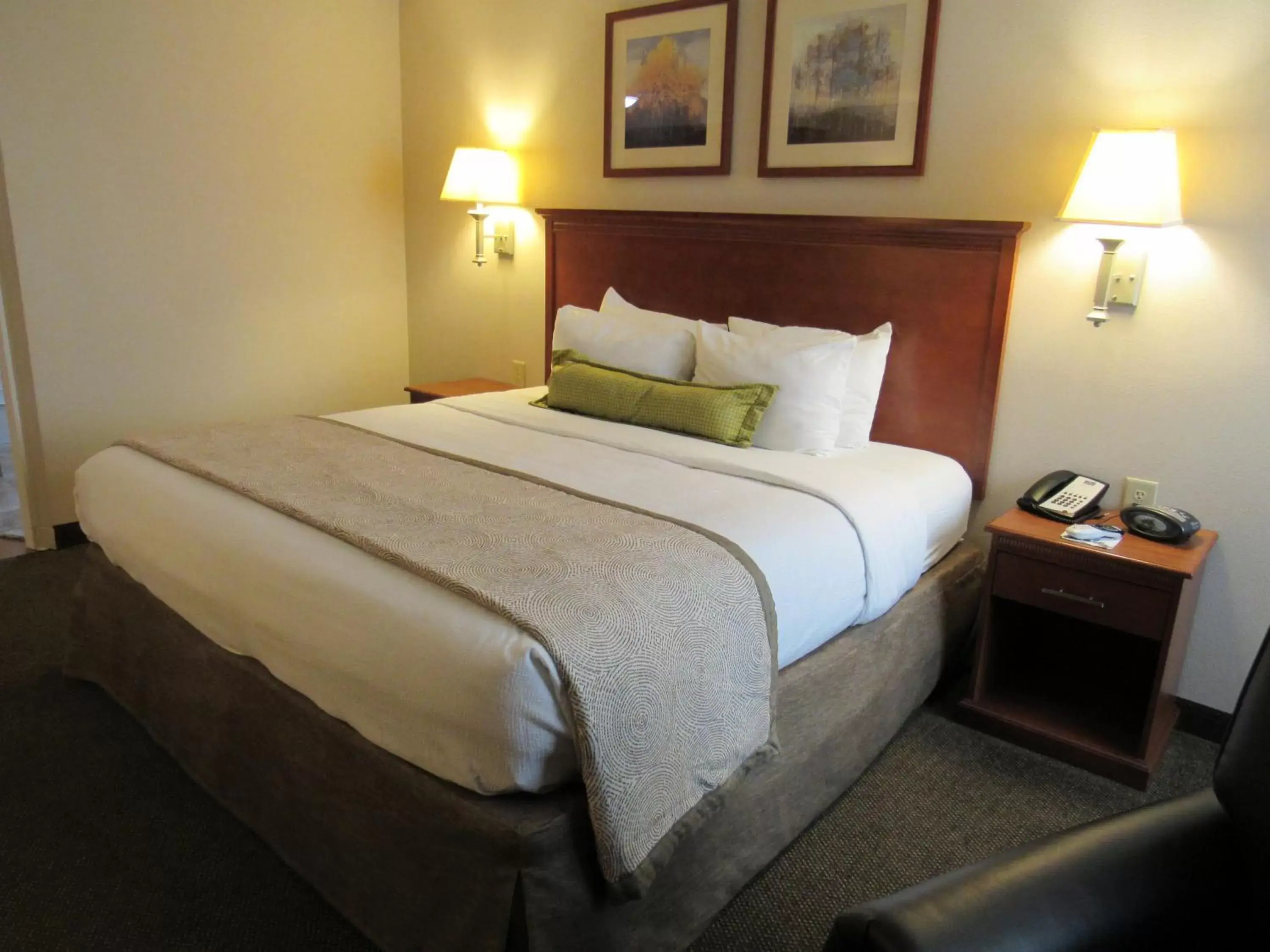 Photo of the whole room, Bed in Candlewood Suites Murfreesboro, an IHG Hotel