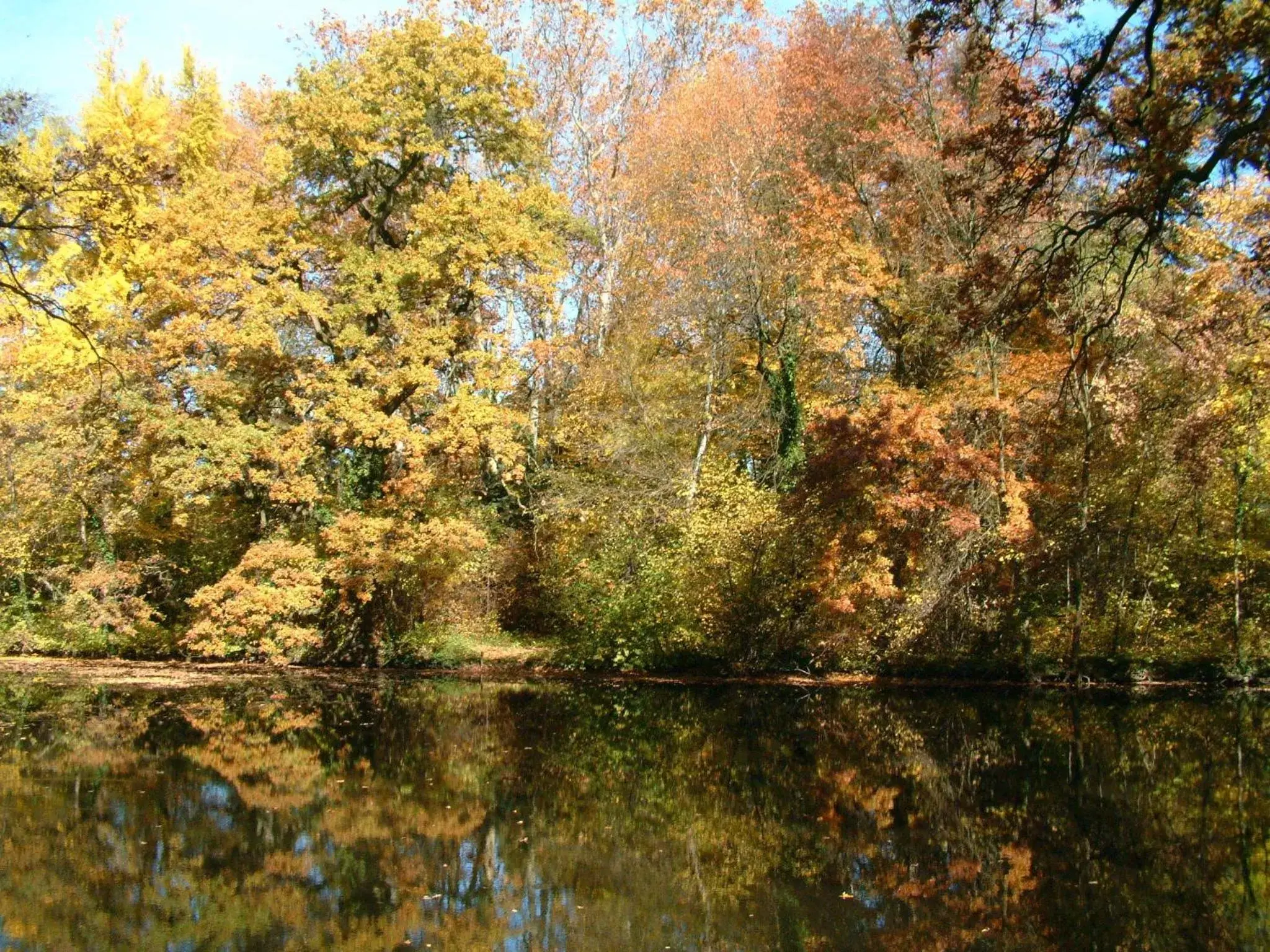 Area and facilities, Natural Landscape in Ensana Thermal Sárvár