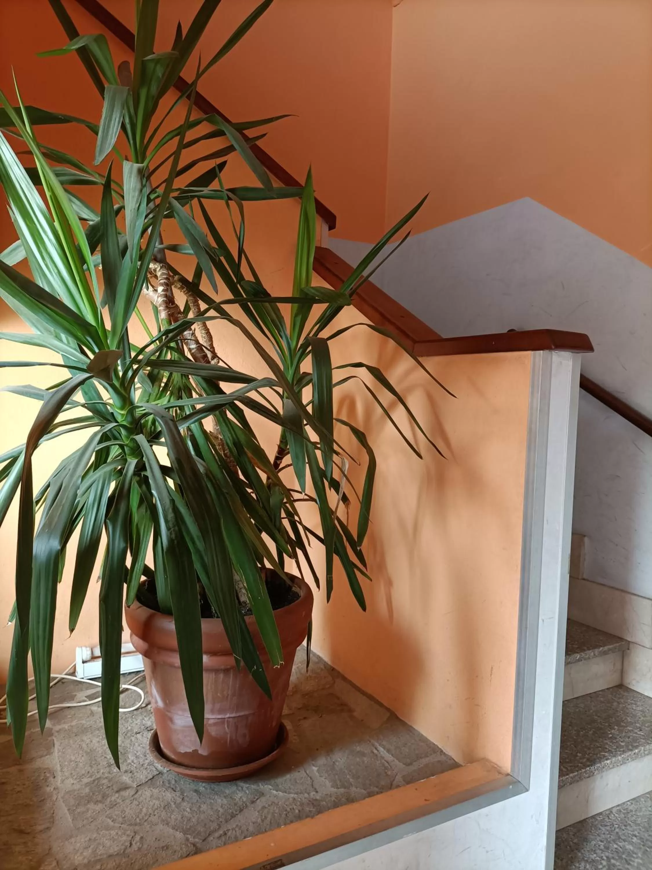 Property building in Albergo Roma