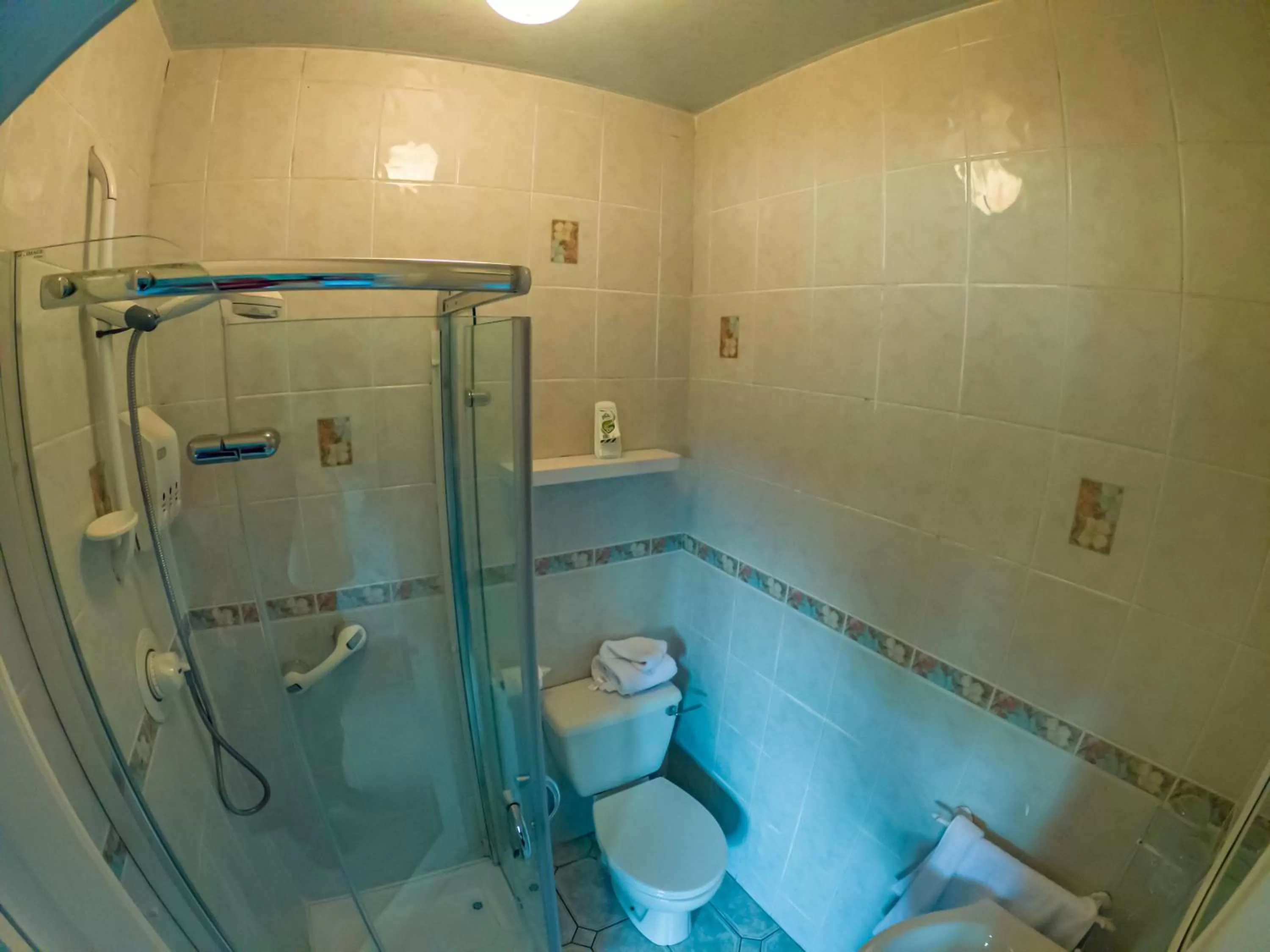 Toilet in The Ring Farmhouse