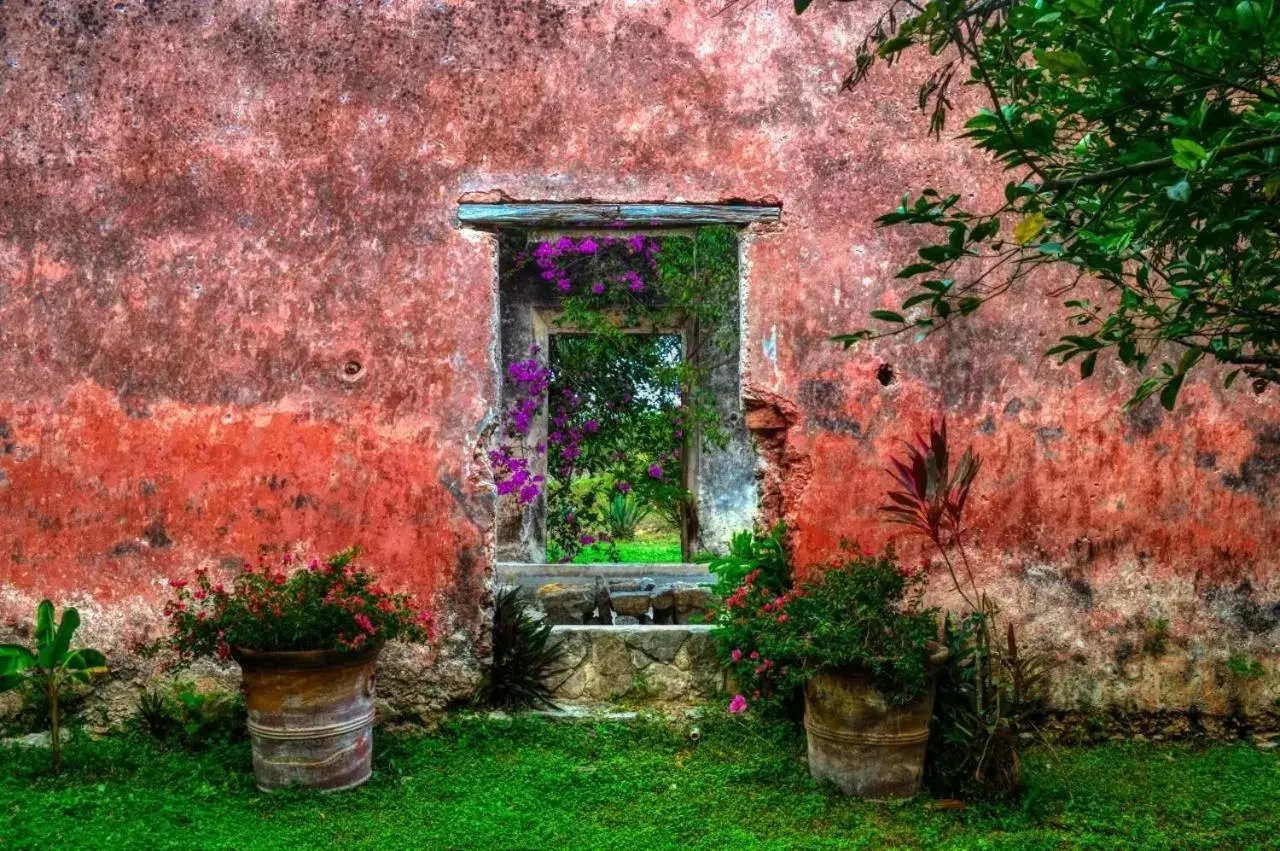 Garden in Hacienda Sacnicte