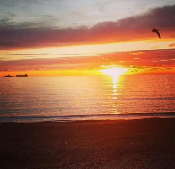 Other in Lyndale Guest House