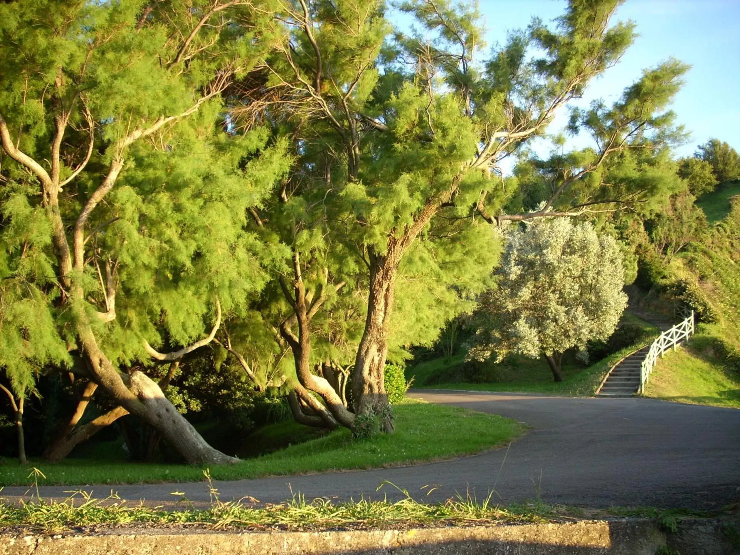 Hiking, Garden in Hotel Itxas Gain Getaria