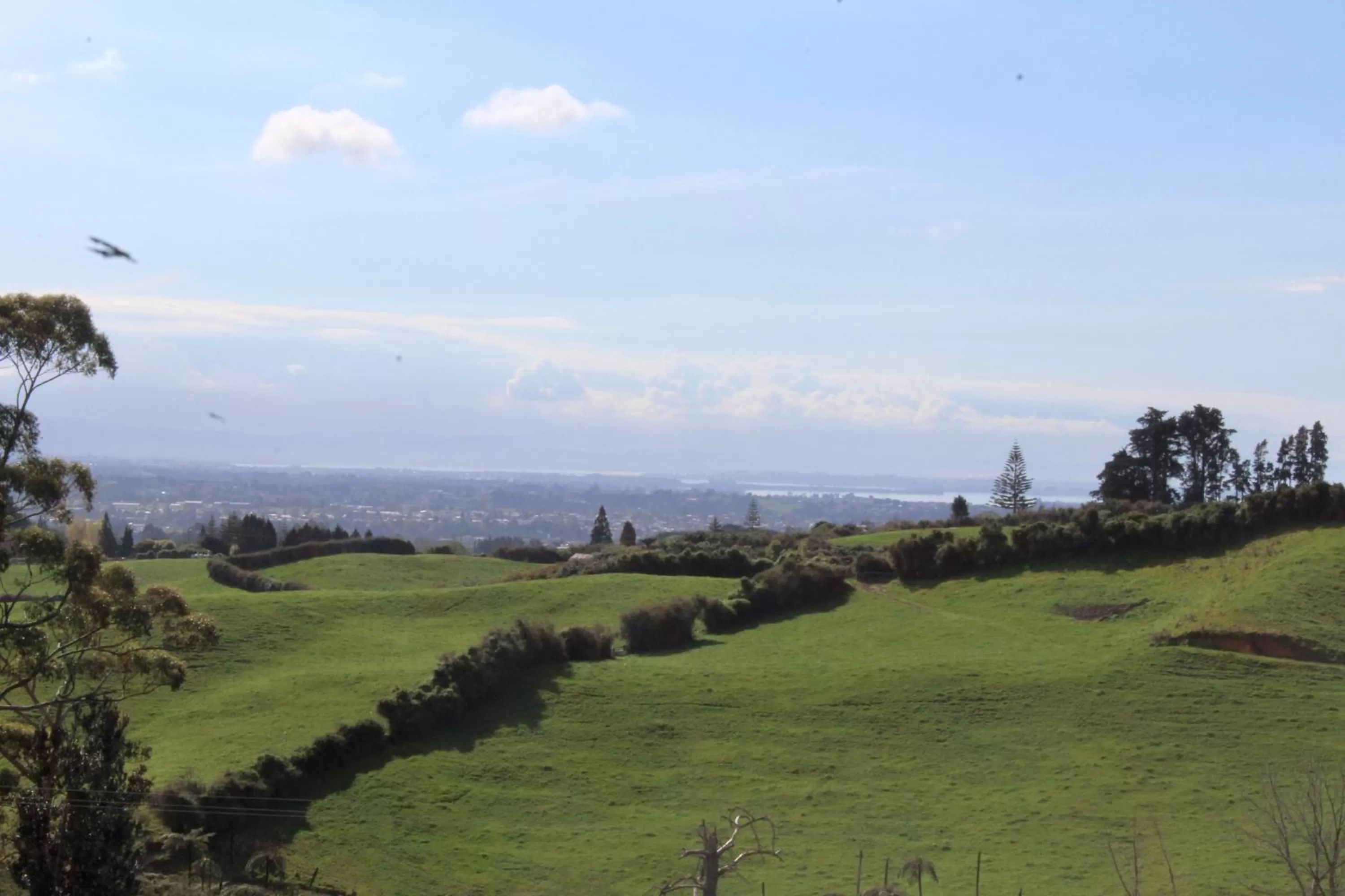 Natural landscape in Arohanui Rural Retreat B&B