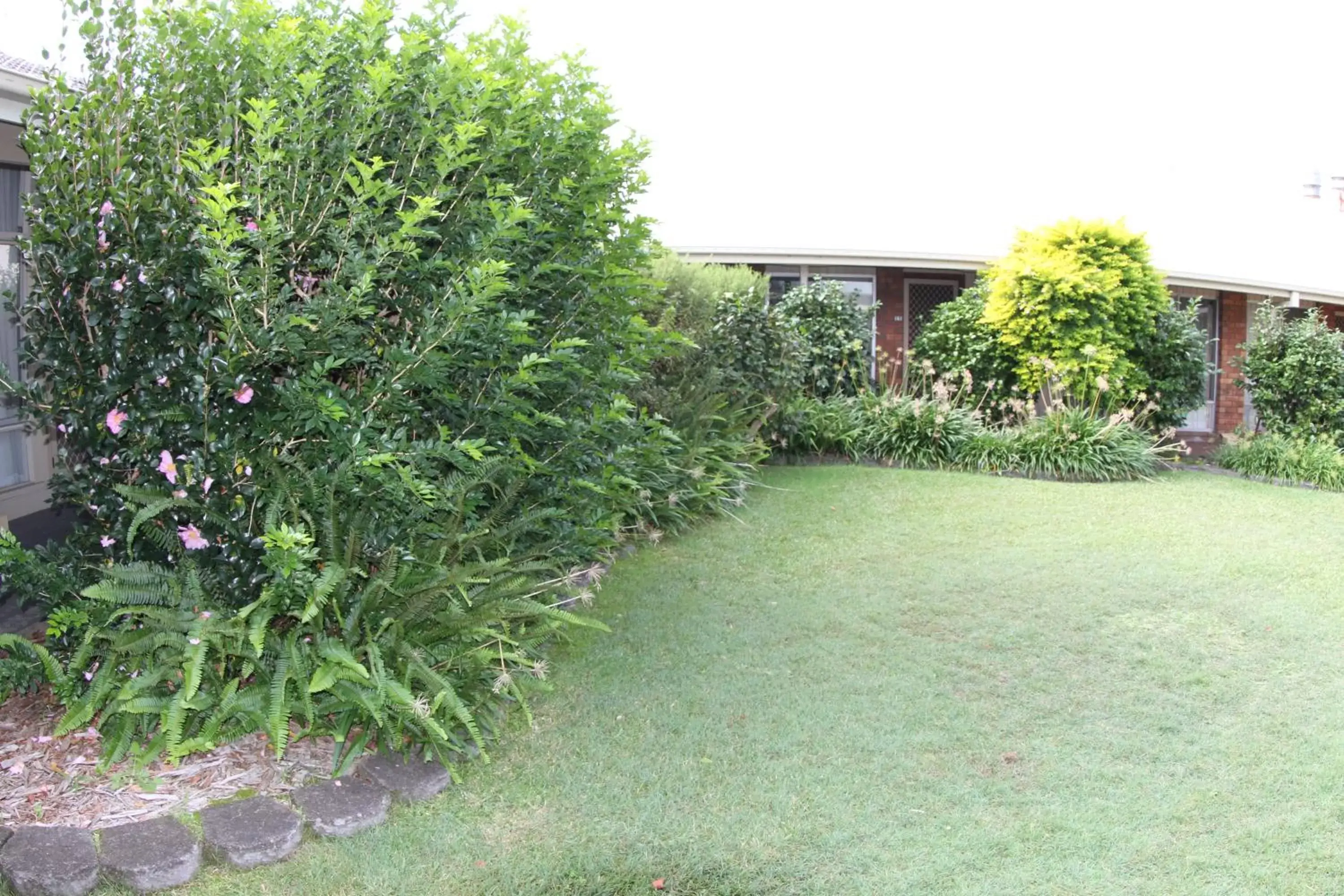 Garden, Property Building in Sleepy Hill Motor Inn