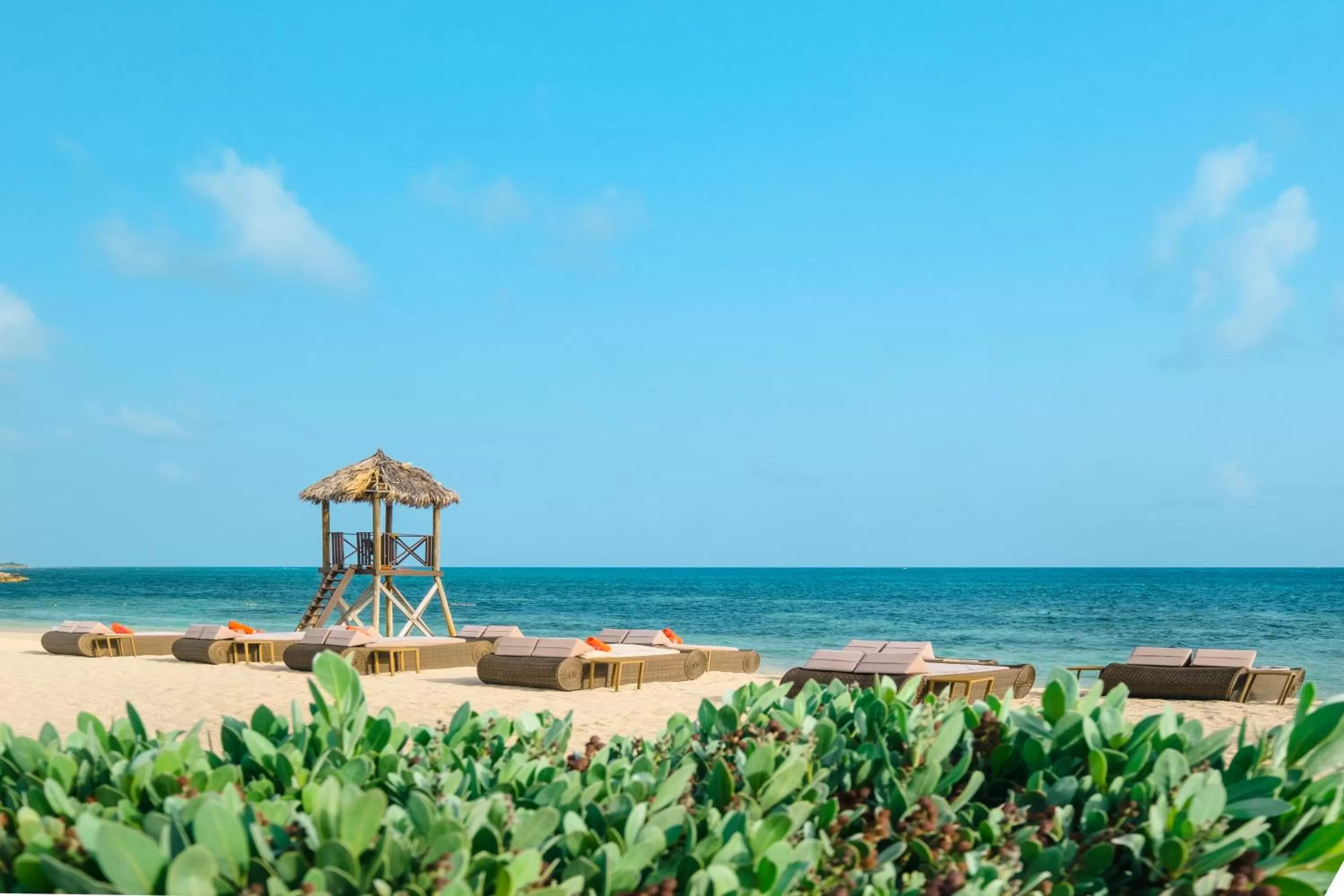 Beach in Iberostar Grand Rose Hall
