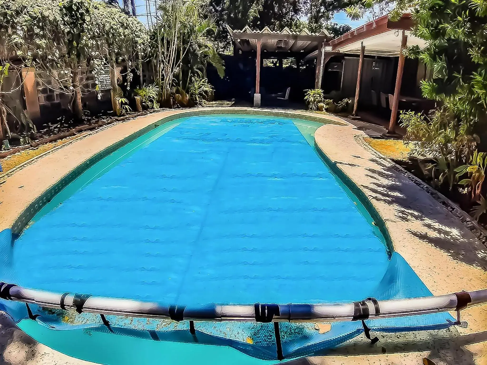 Garden, Swimming Pool in Chito's Hotel