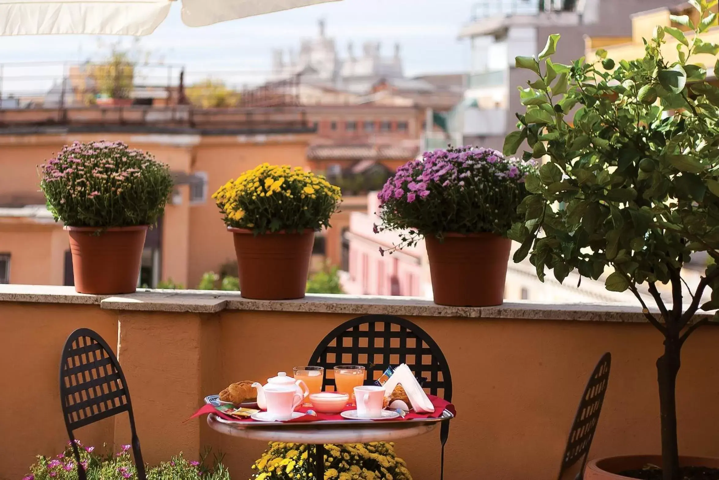 Balcony/Terrace in Hotel Novecento