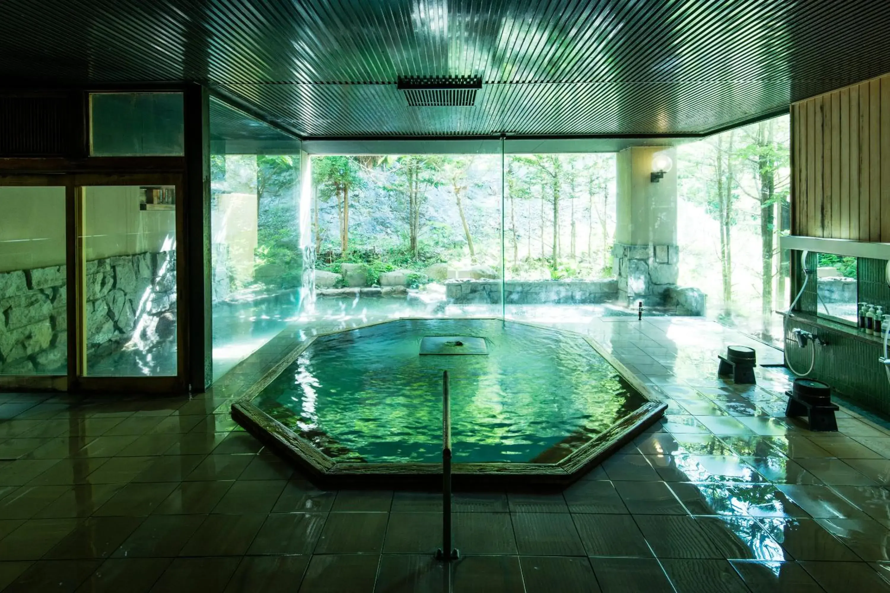 Hot Spring Bath, Swimming Pool in Myojinkan Ryokan