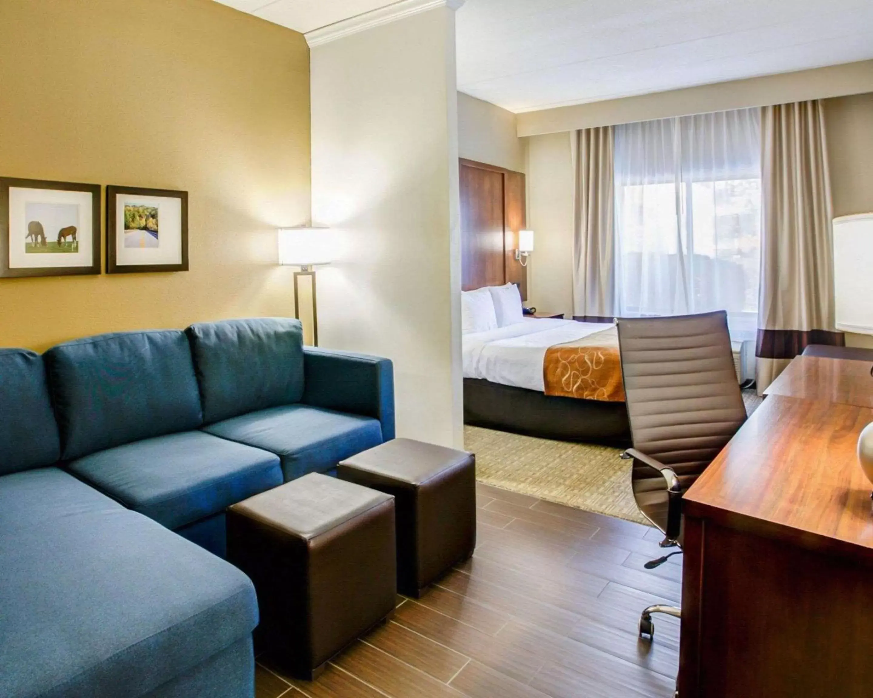 Photo of the whole room, Seating Area in Comfort Suites Georgetown