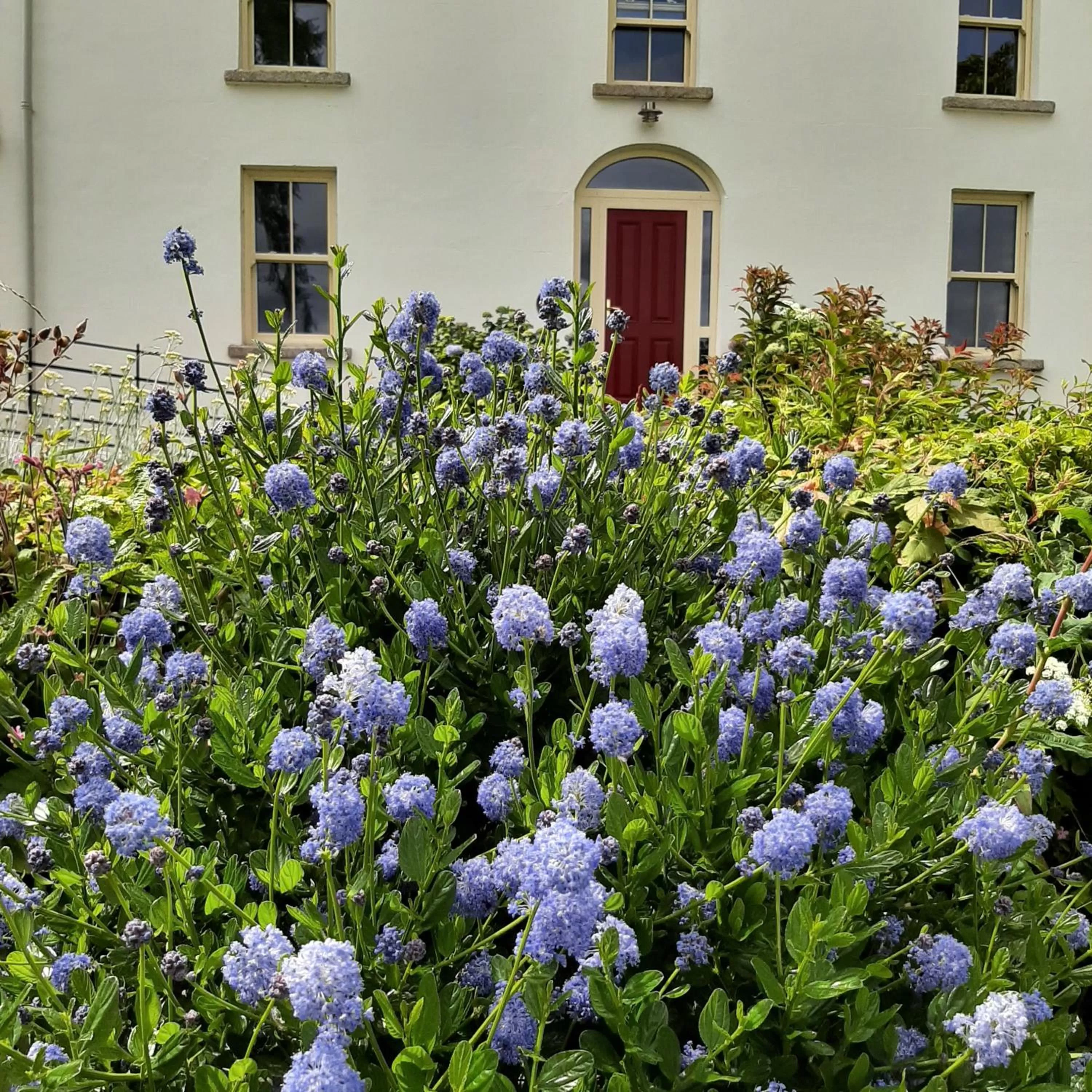 Garden in Abhainn Ri Farmhouse