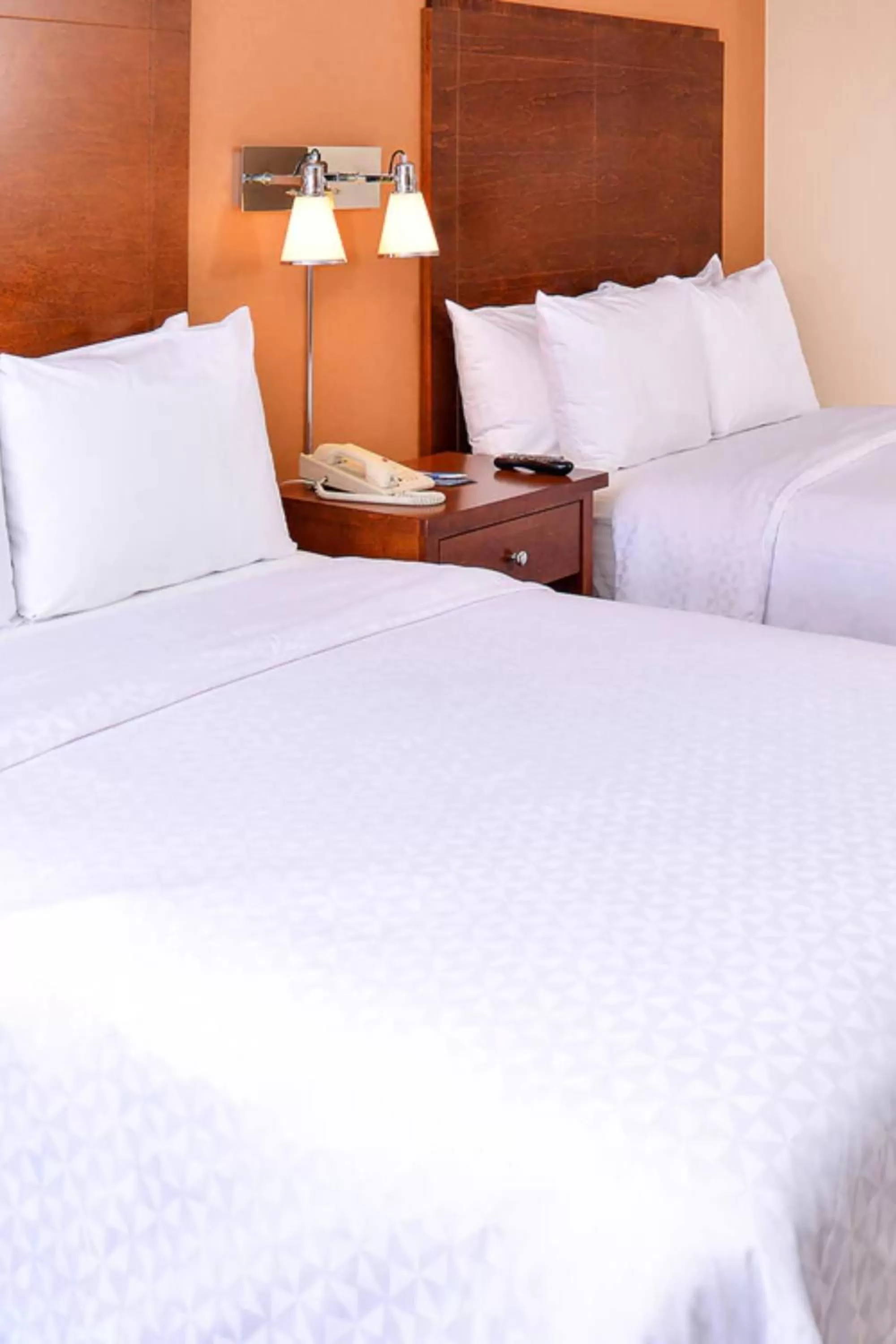 Bedroom, Bed in Radisson Hotel Detroit Metro Airport