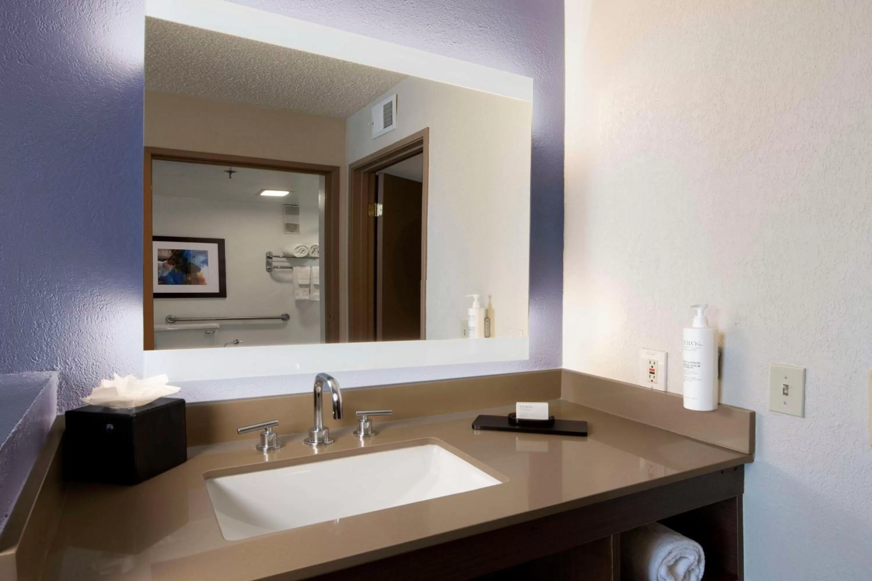 Bathroom in Embassy Suites by Hilton Dallas DFW Airport South