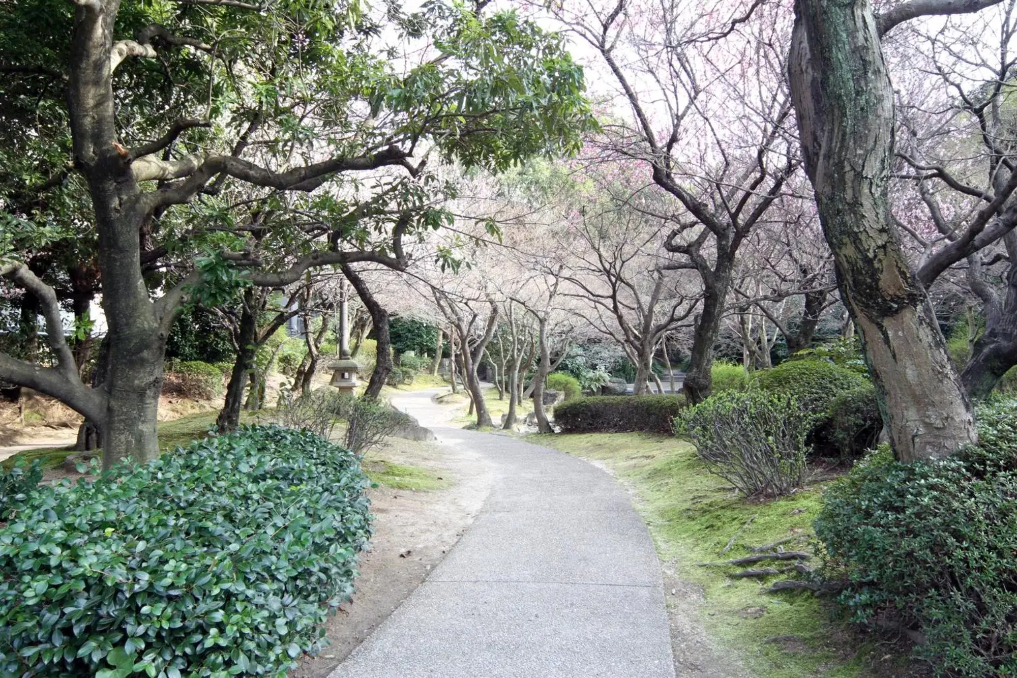 Garden in Hotel Hiroshima Sunplaza