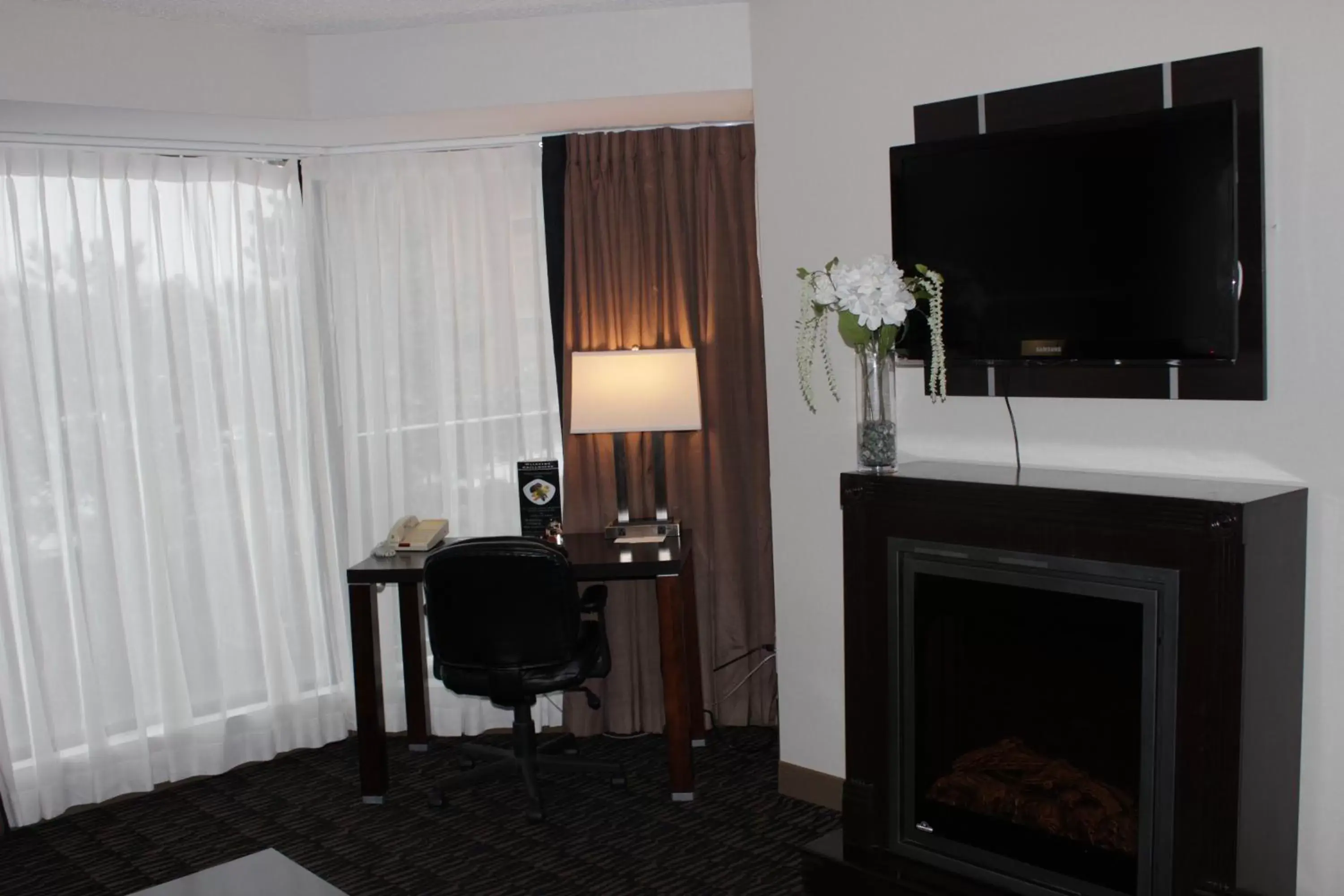 TV/Entertainment Center in Ramada Plaza by Wyndham Niagara Falls