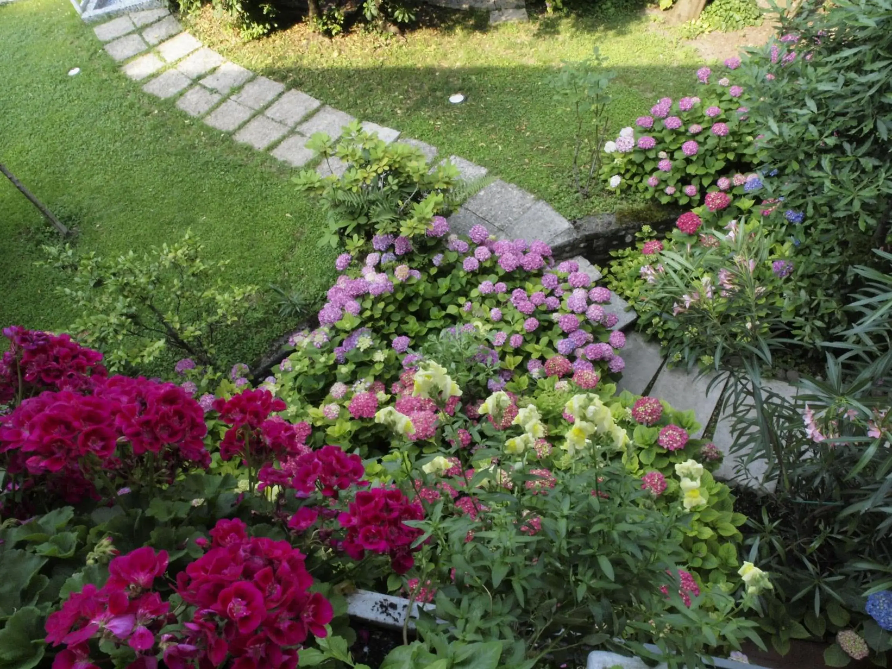 Garden in Hotel San Filis