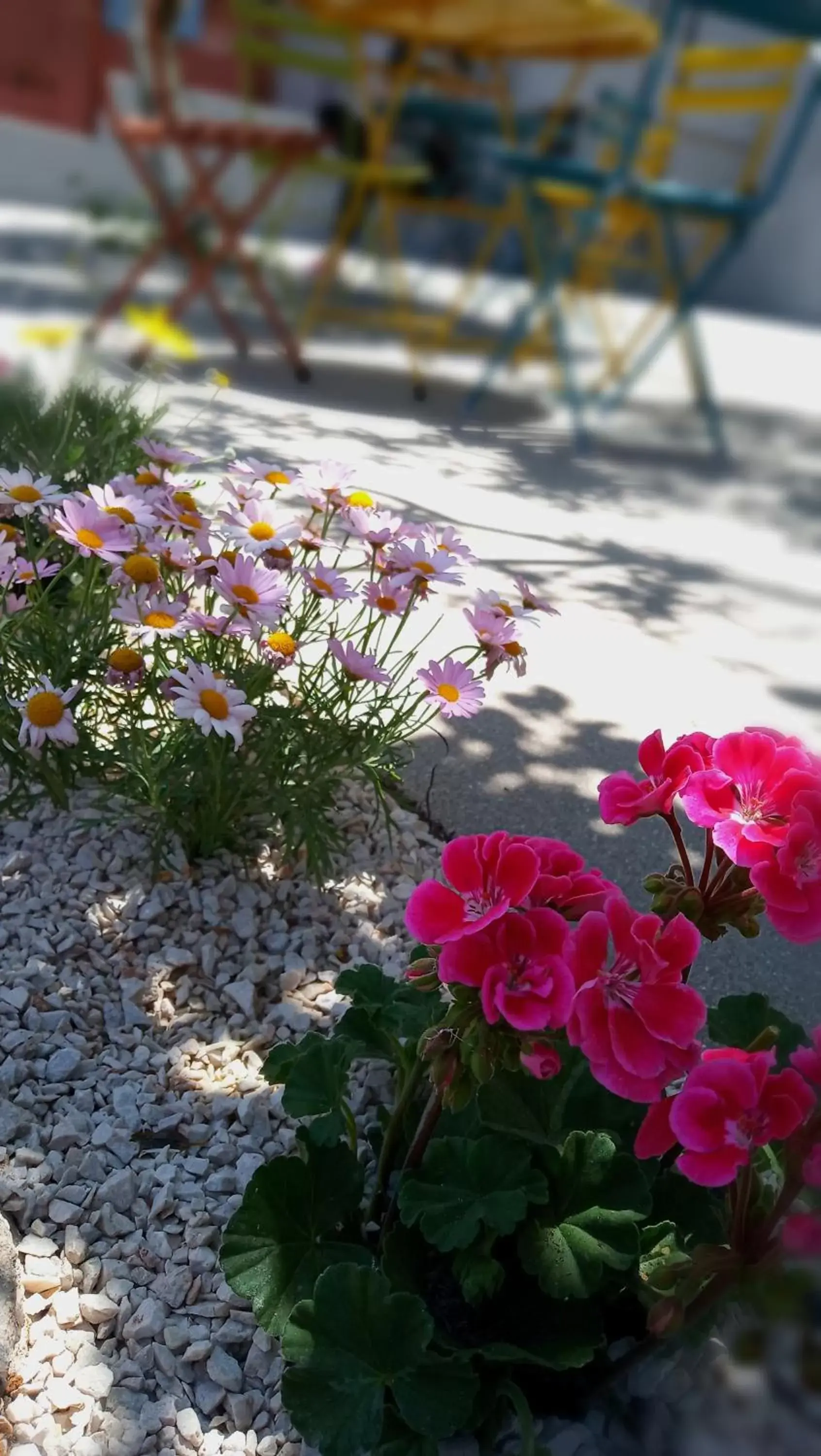 Garden in Aethra Boutique Rooms