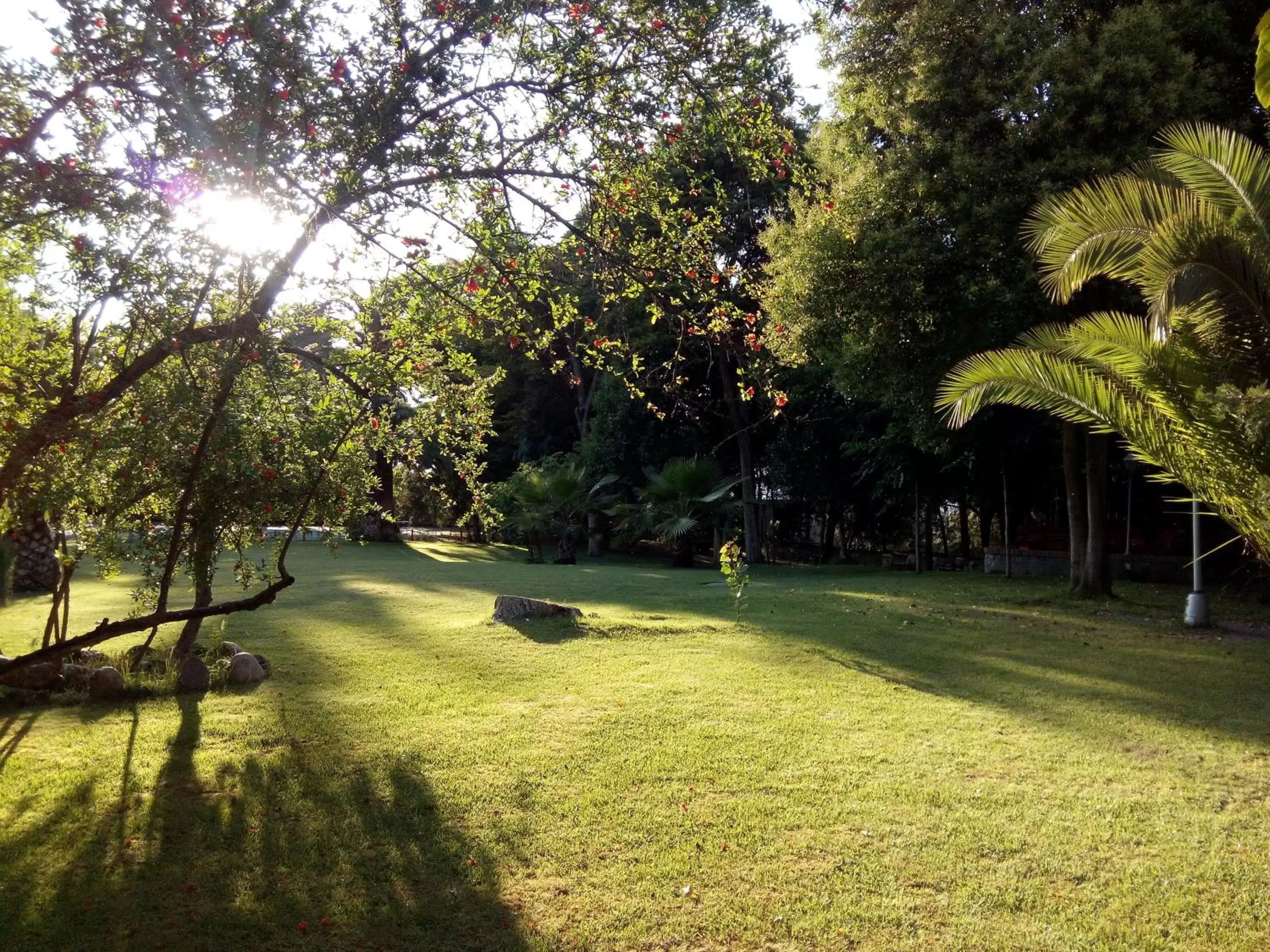 Garden in Balneario San Andres