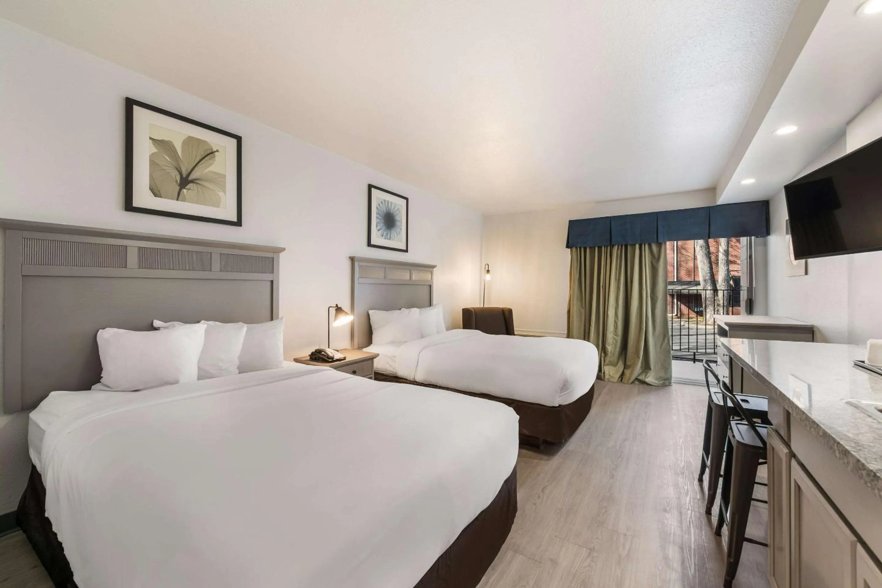 Photo of the whole room, Bed in Suburban Studios Williamsburg Central