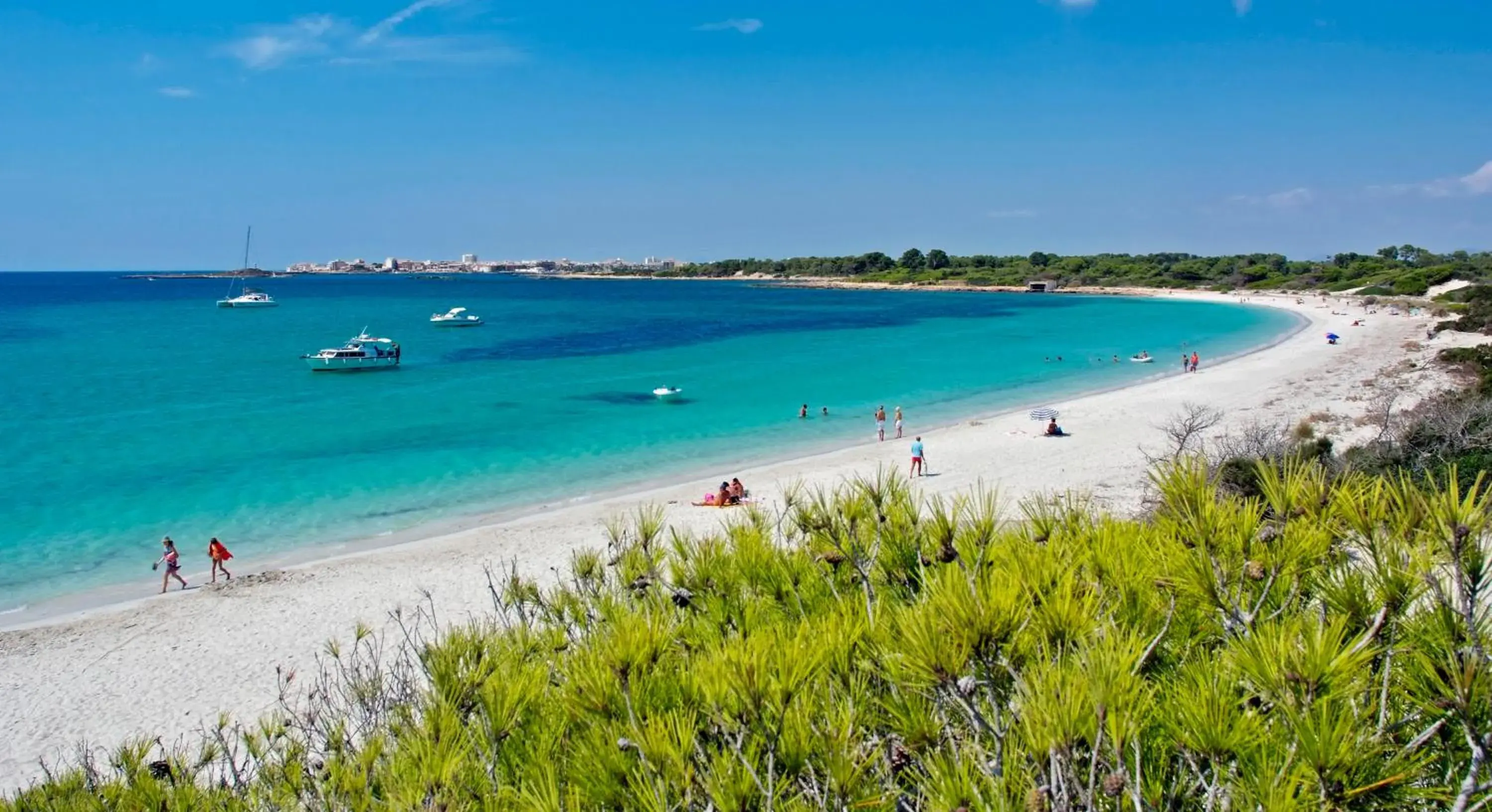 Area and facilities, Beach in Hotel Isla de Cabrera