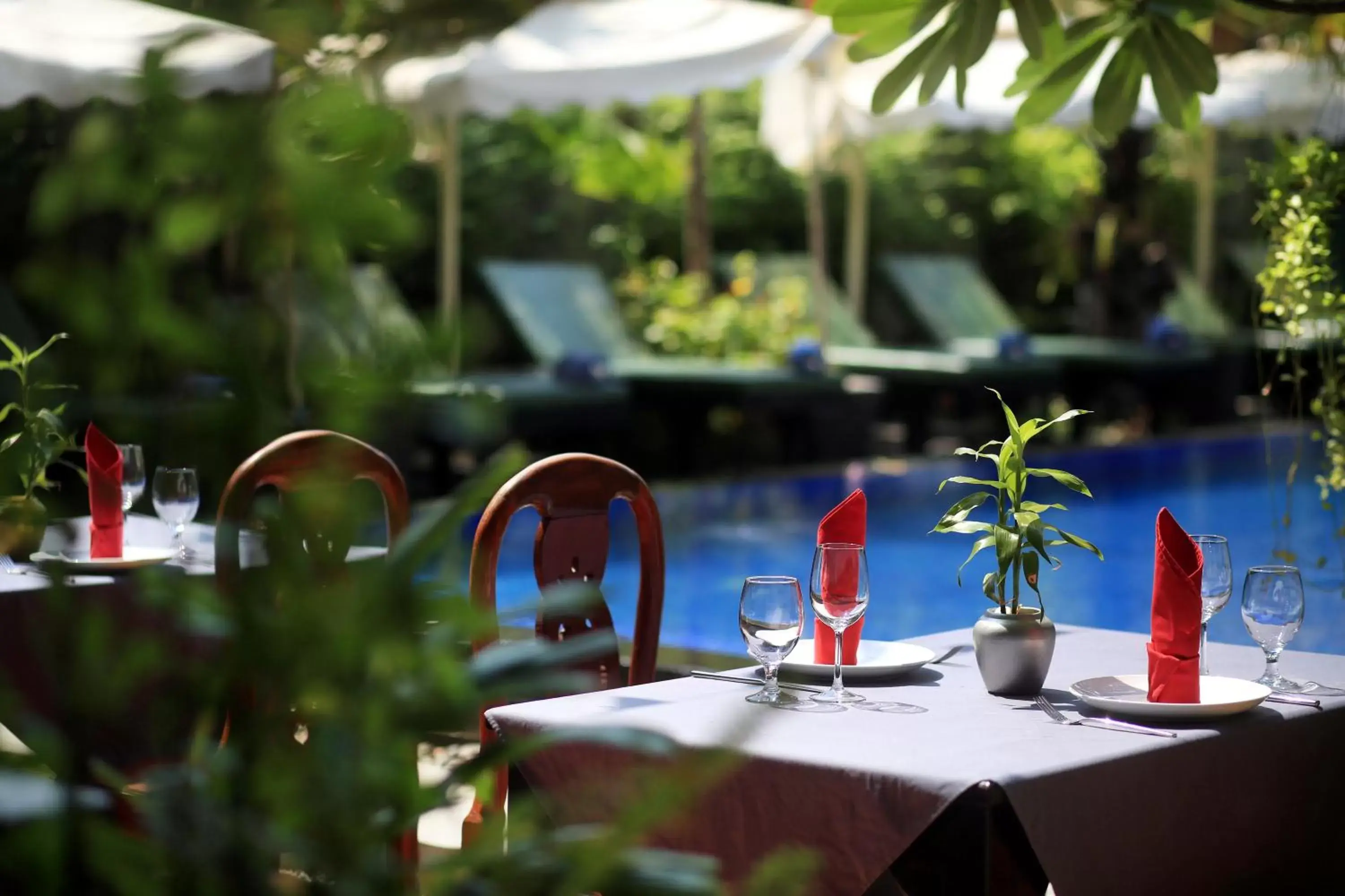 Lounge or bar, Restaurant/Places to Eat in Khmer Mansion Boutique Hotel