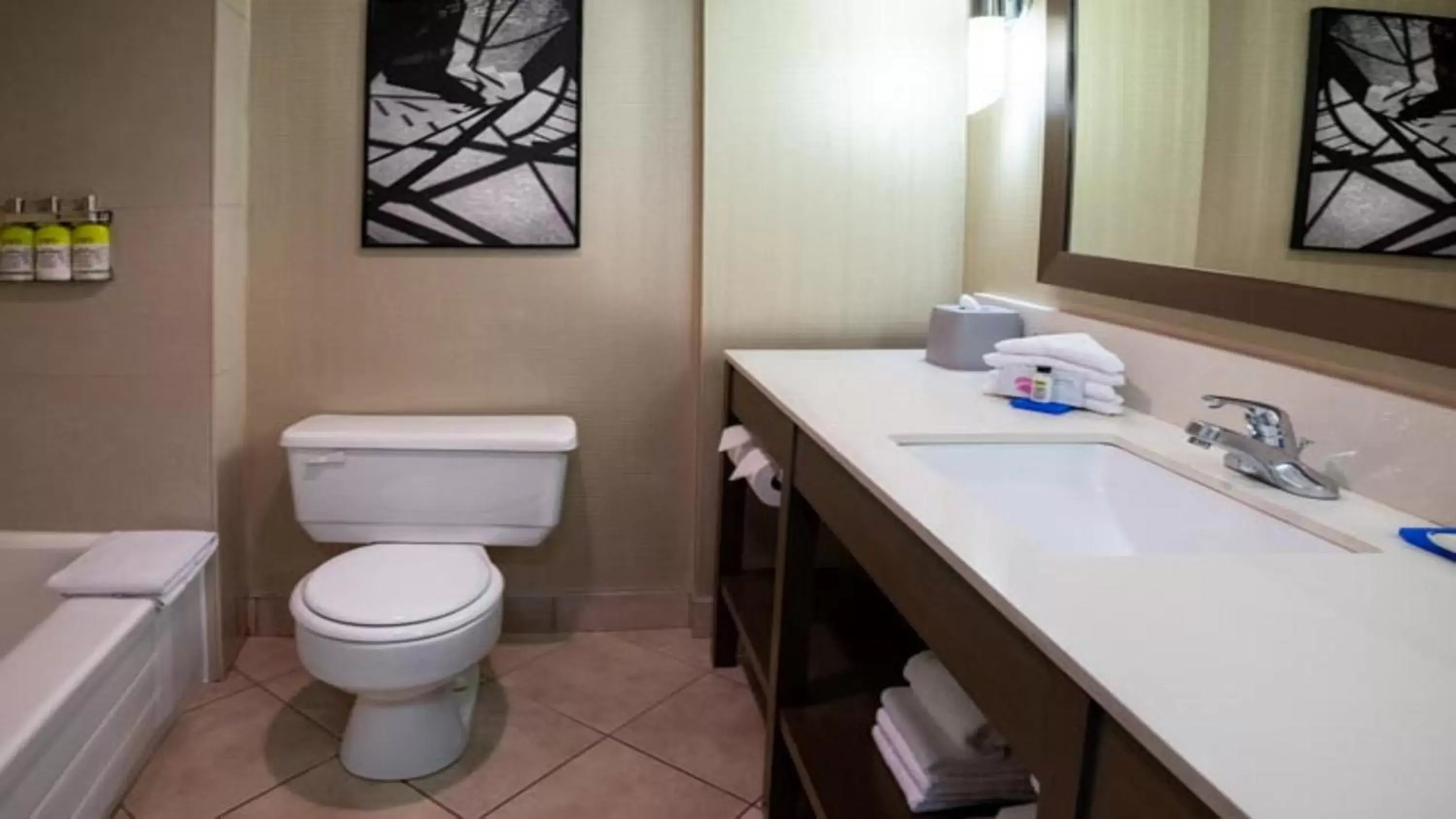 Bathroom in Holiday Inn Express Vancouver-Metrotown (Burnaby)