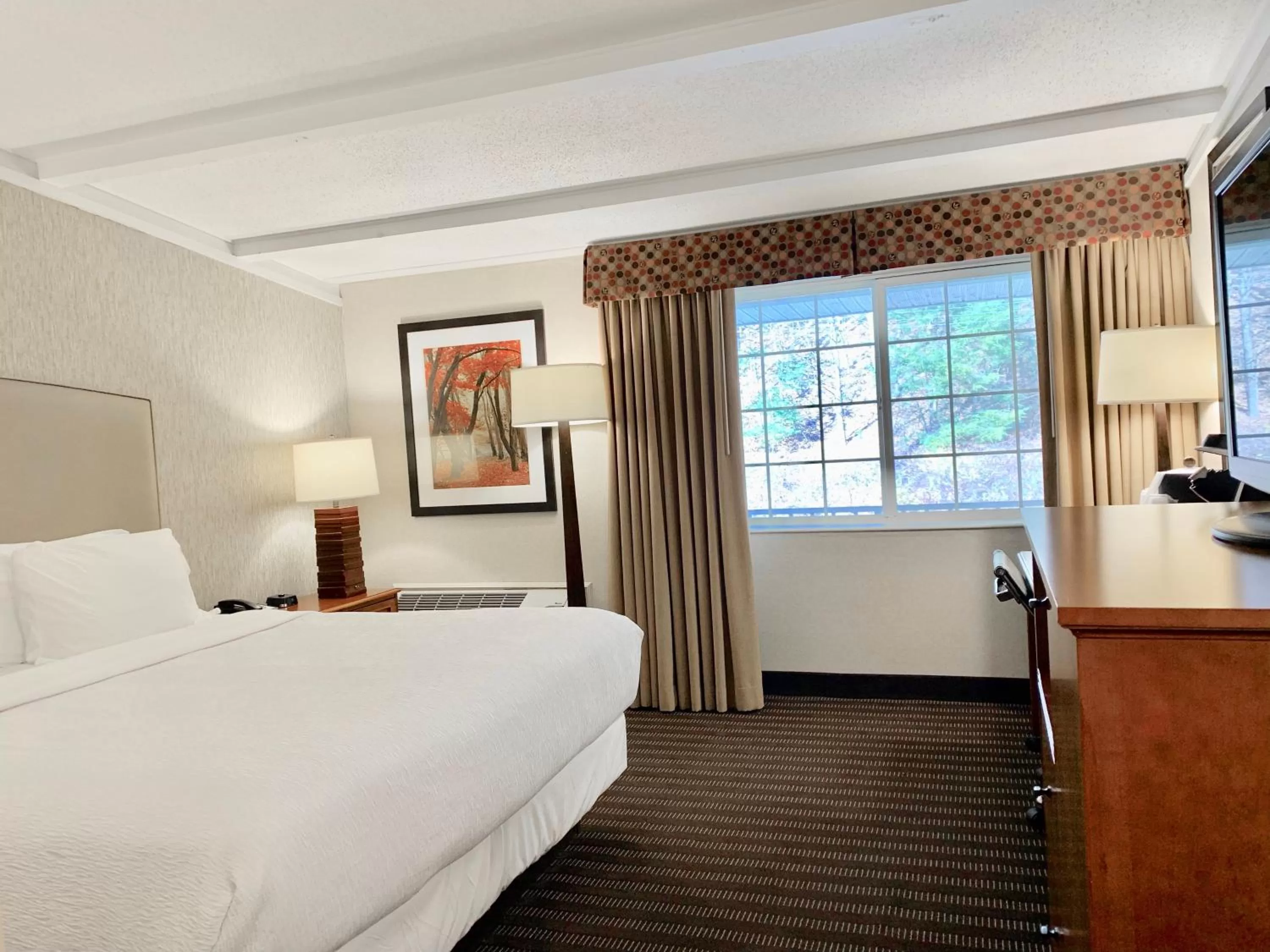 Bedroom, Bed in Best Western Springfield Hotel