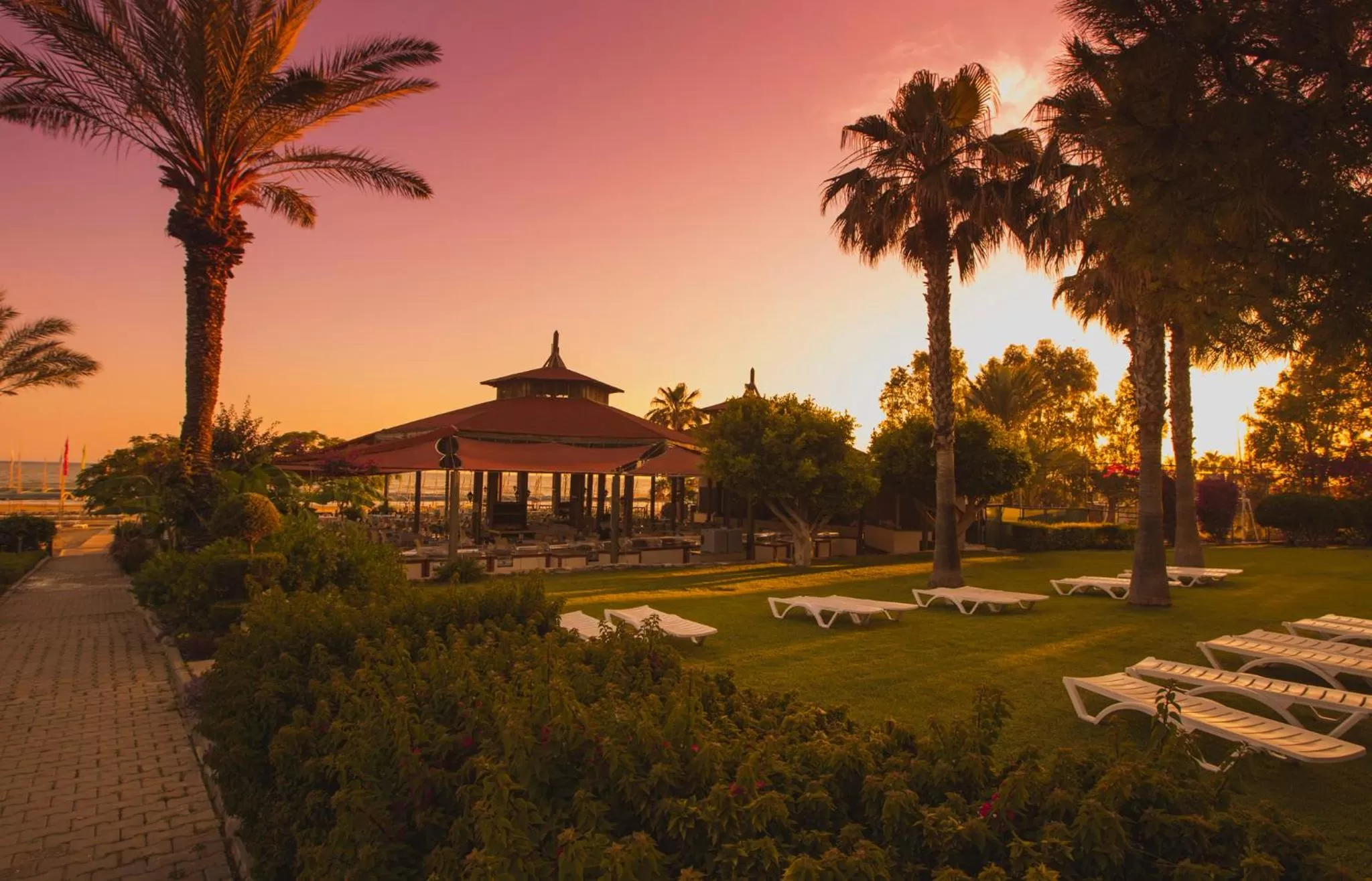 Natural landscape in Hotel Terrace Beach Resort All Inclusive