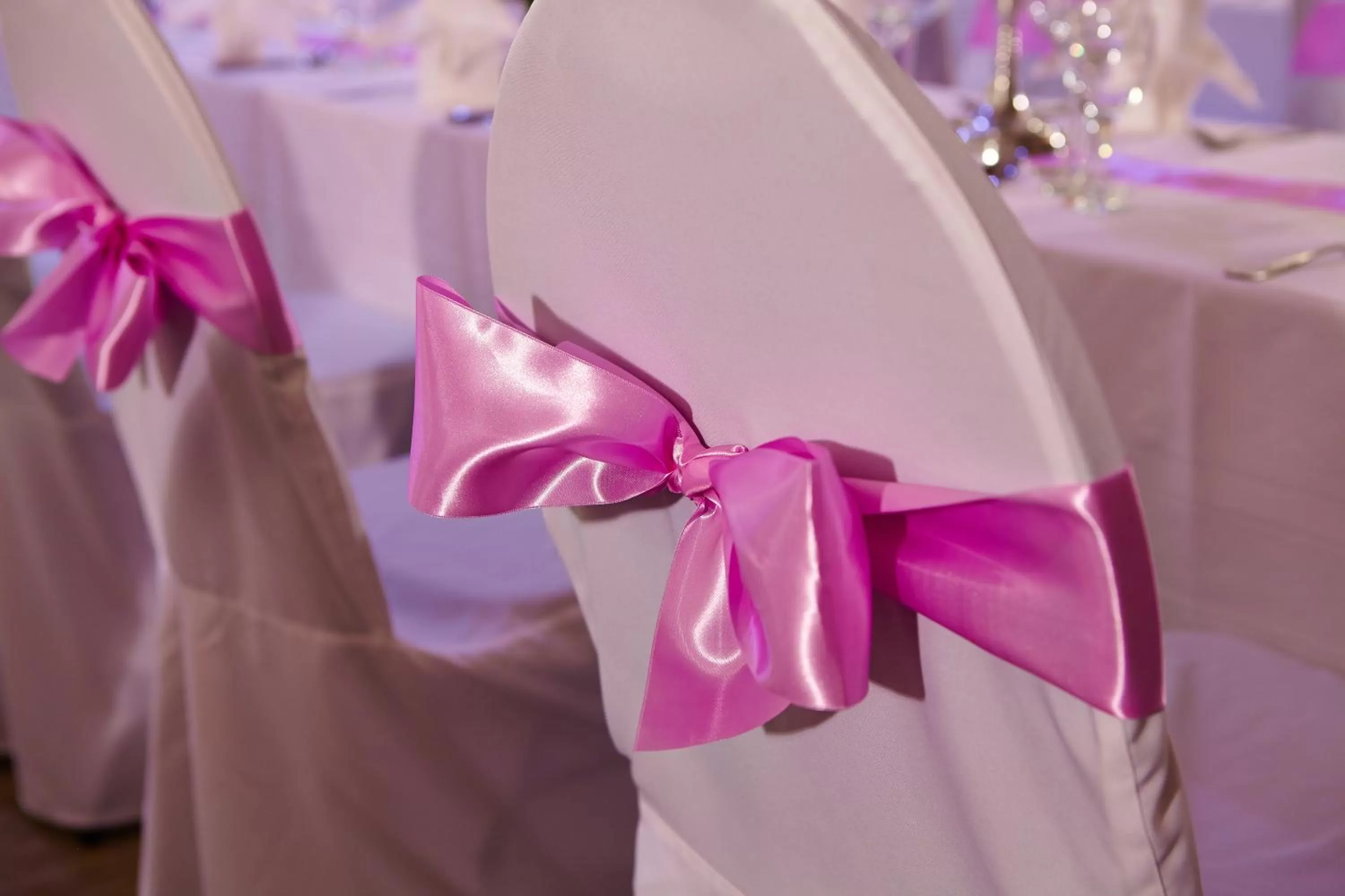 Banquet/Function facilities in Hotel Sauerlacher Post