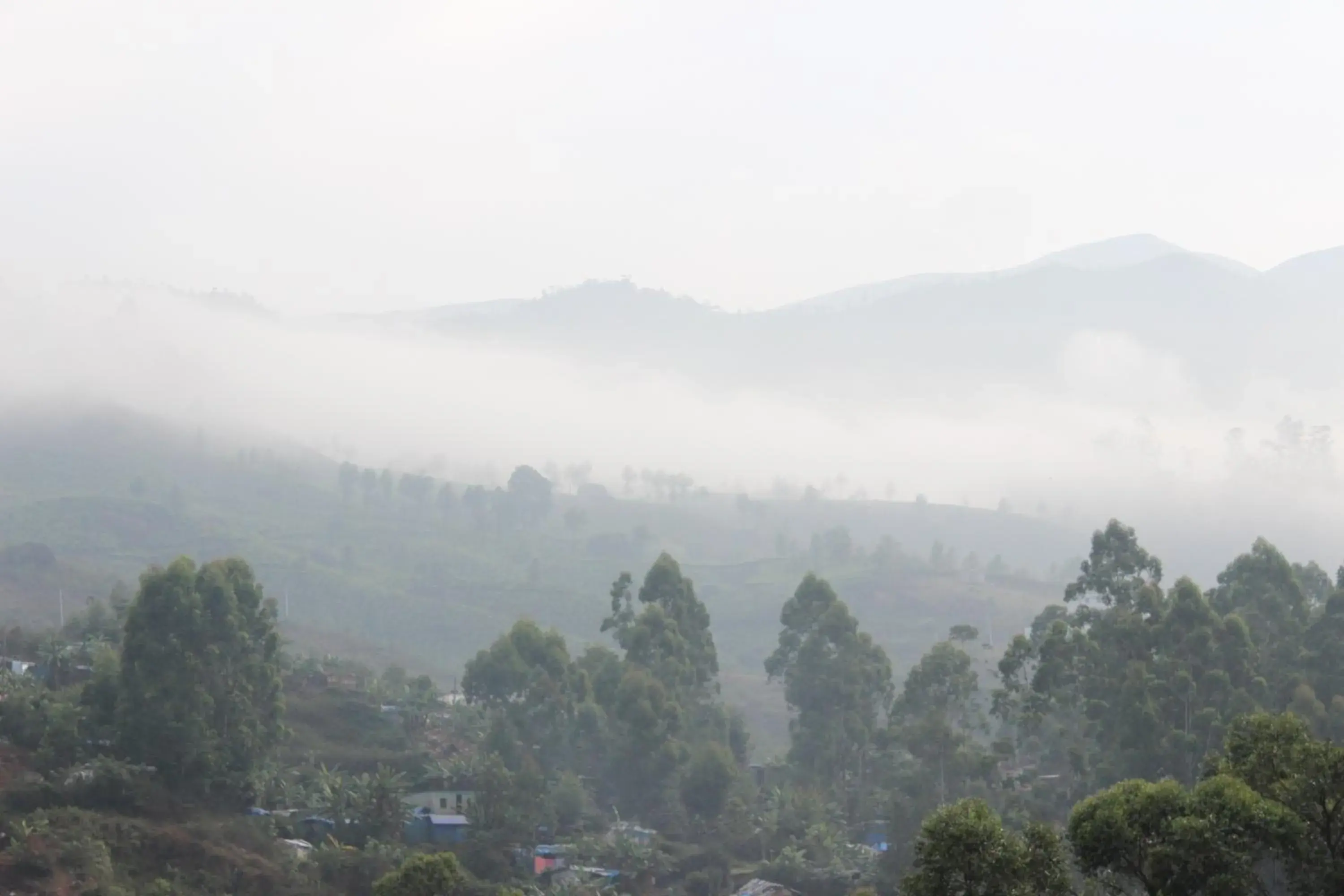 View (from property/room), Mountain View in Ktdc Tea County Resort