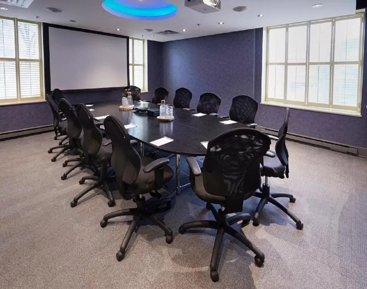 Meeting/conference room in Novotel Ottawa City Centre Hotel