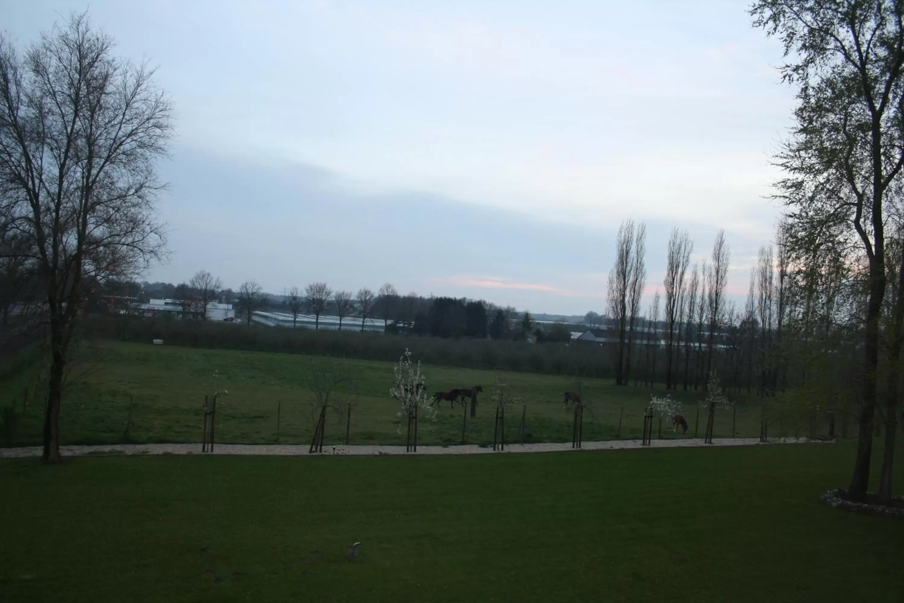 View (from property/room) in B&B Johannes-Hoeve