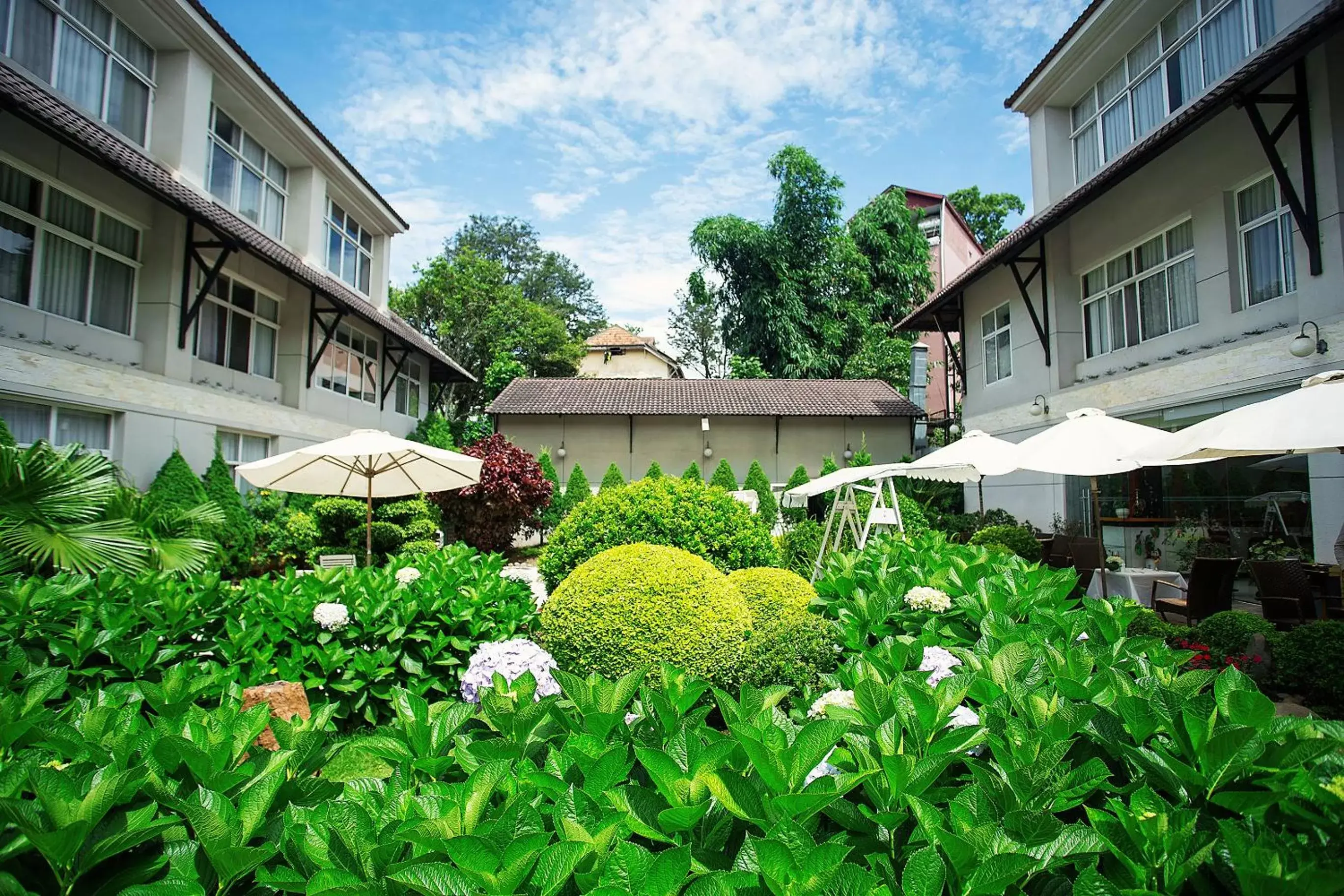 Garden, Patio/Outdoor Area in Muong Thanh Holiday Da Lat Hotel