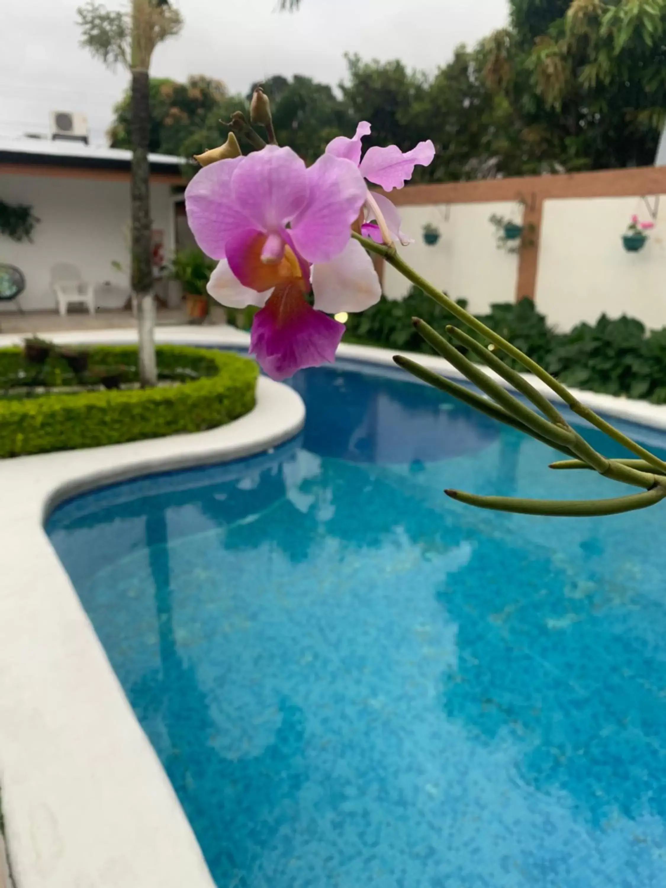 Patio, Swimming Pool in Berlor Airport Inn