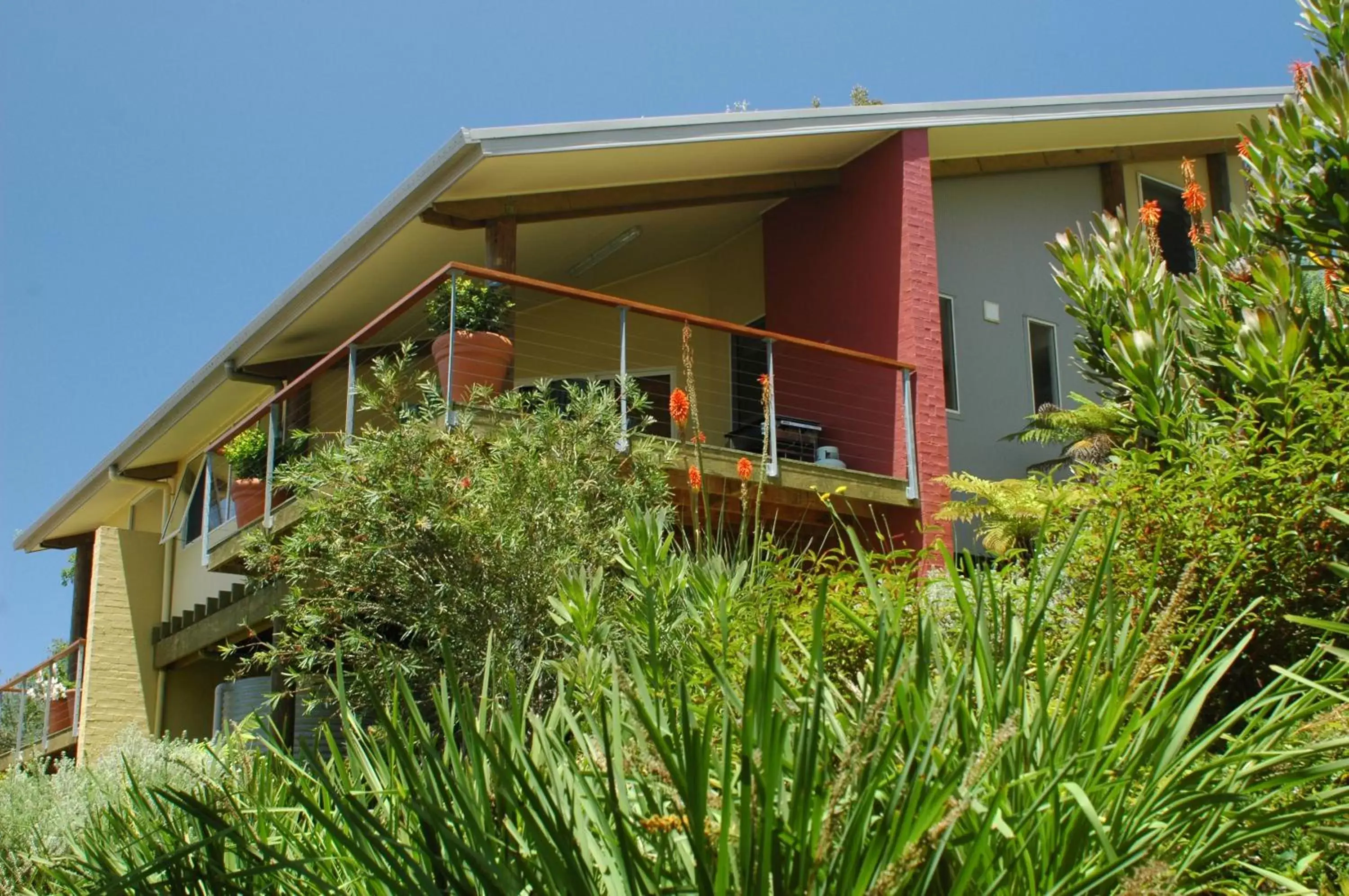 Day, Garden in Tathra Beach House Holiday Apartments